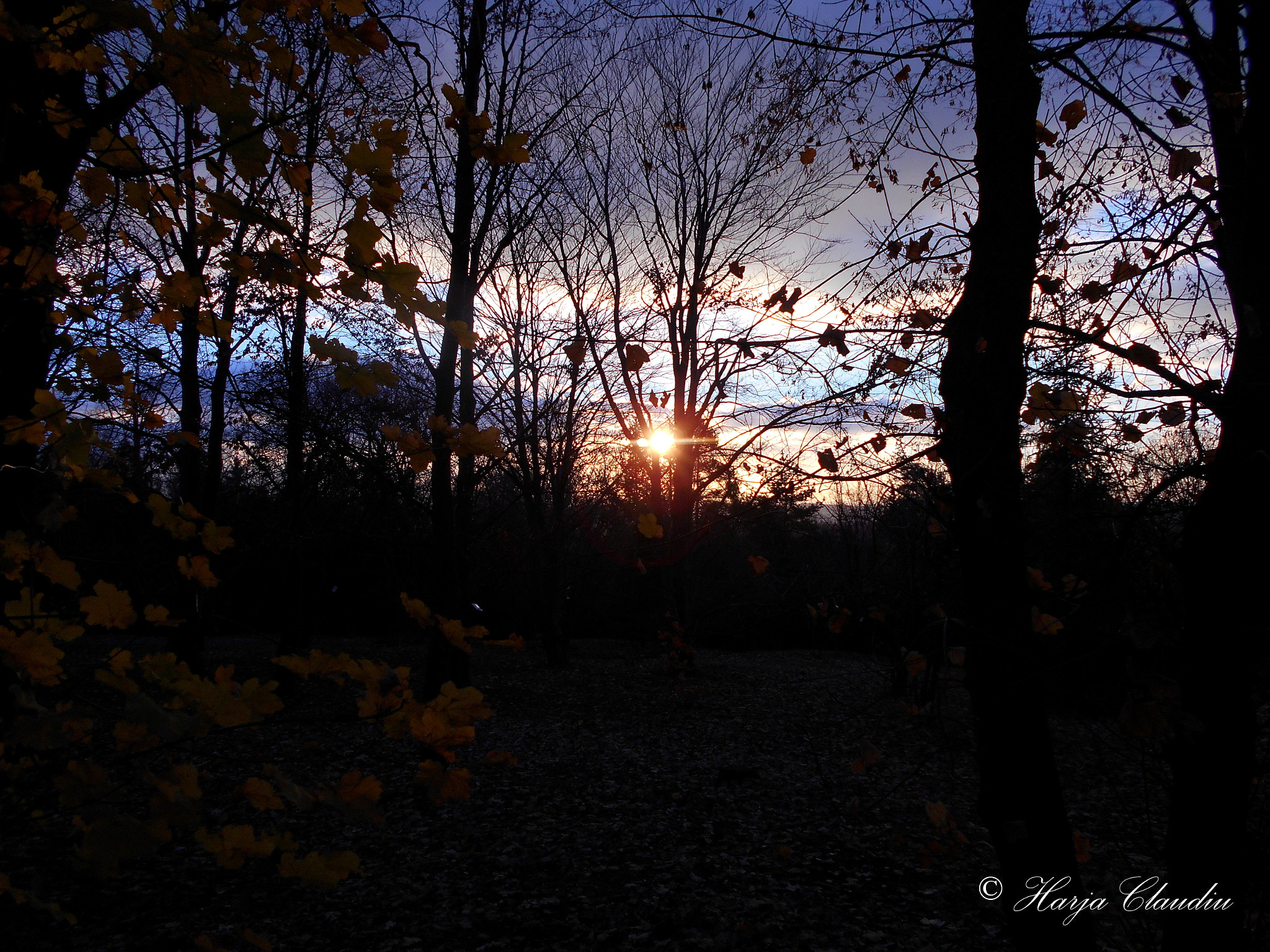 Nikon Coolpix L28 sample photo. Sunset photography