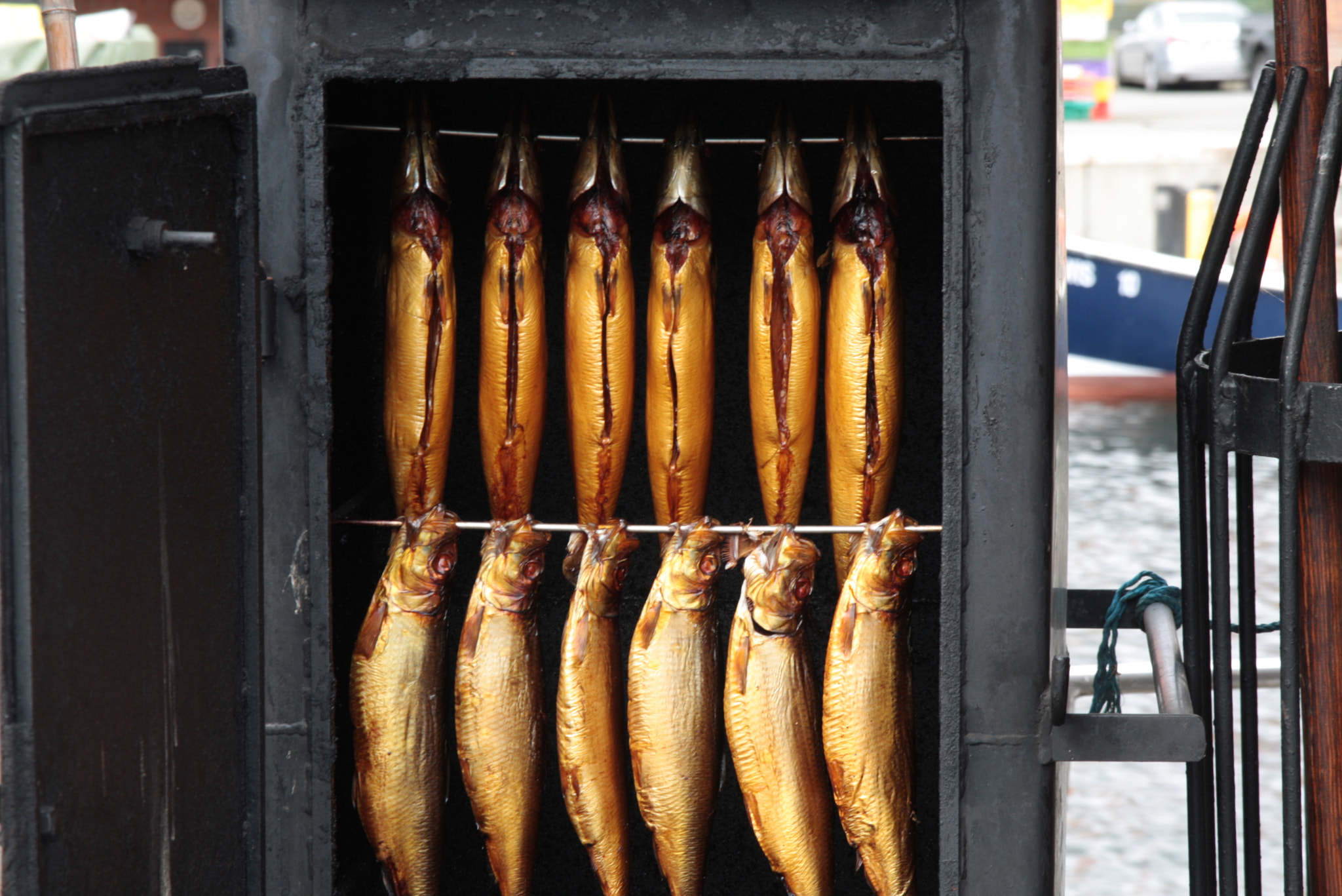 Canon EOS 40D + Sigma 17-70mm F2.8-4 DC Macro OS HSM sample photo. Smoked fish photography