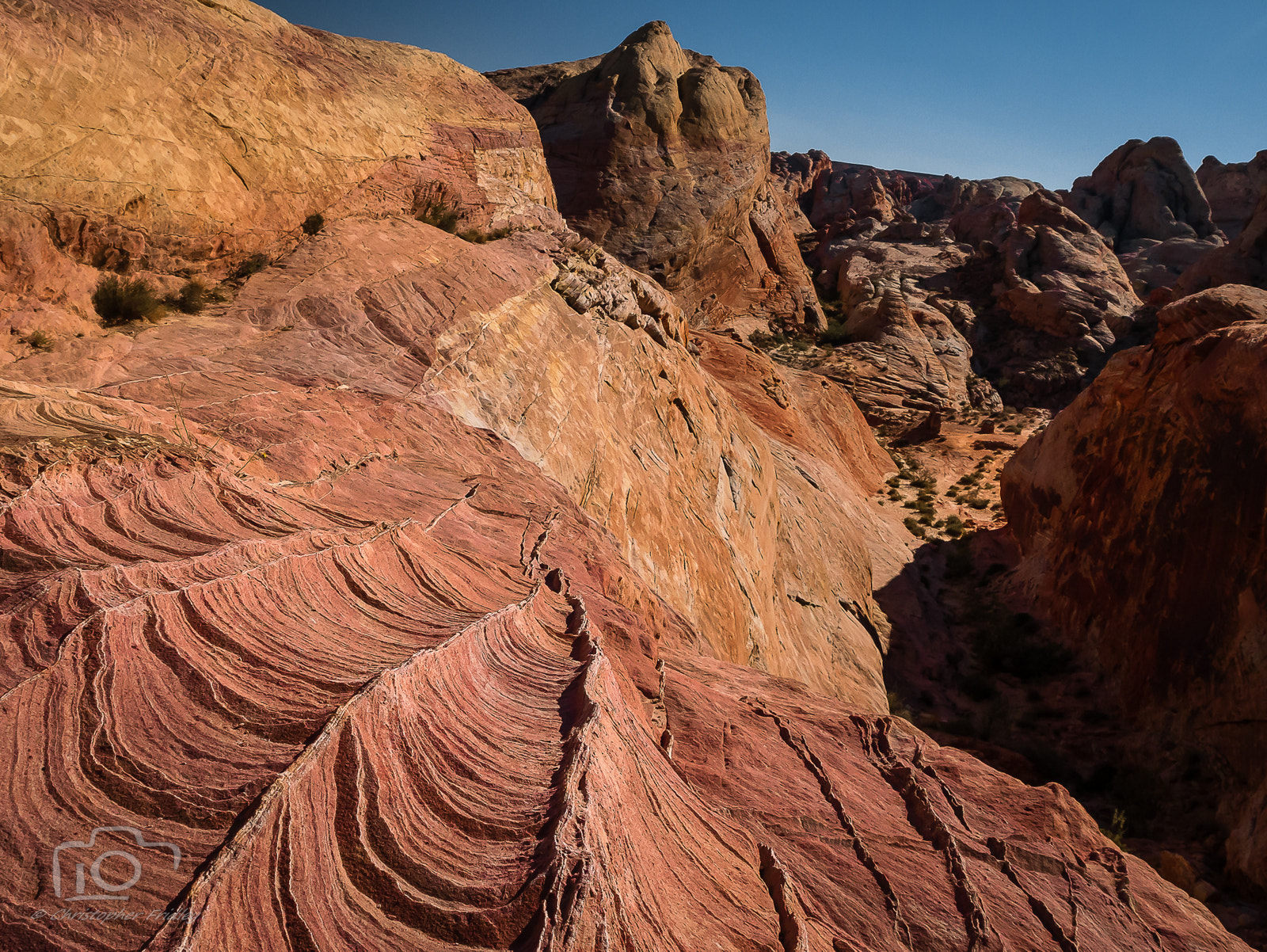 Panasonic Lumix DMC-GX7 sample photo. Valley of fire photography
