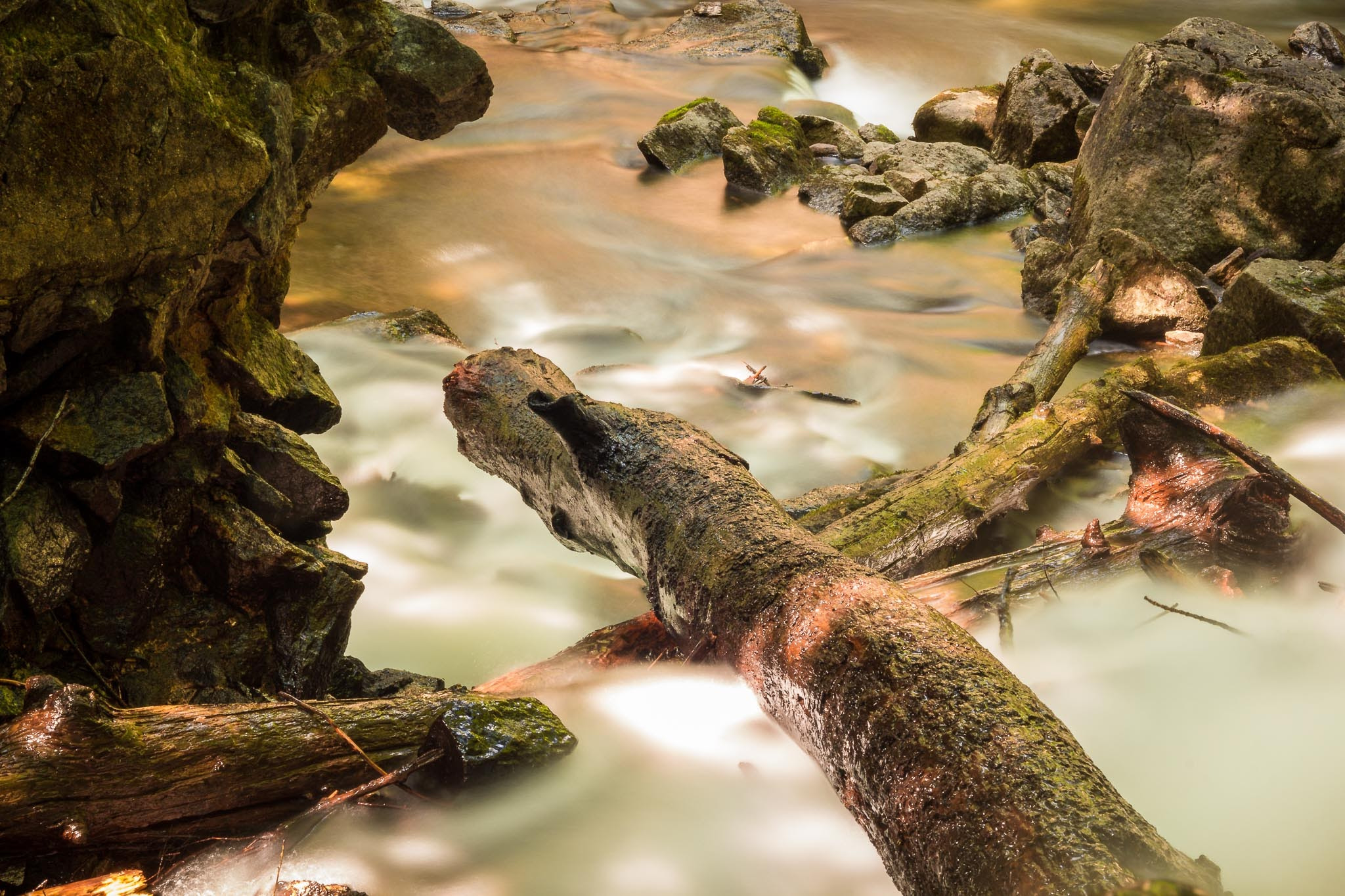 Canon EOS 60D + Sigma 18-50mm f/2.8 Macro sample photo. Enchanted water photography