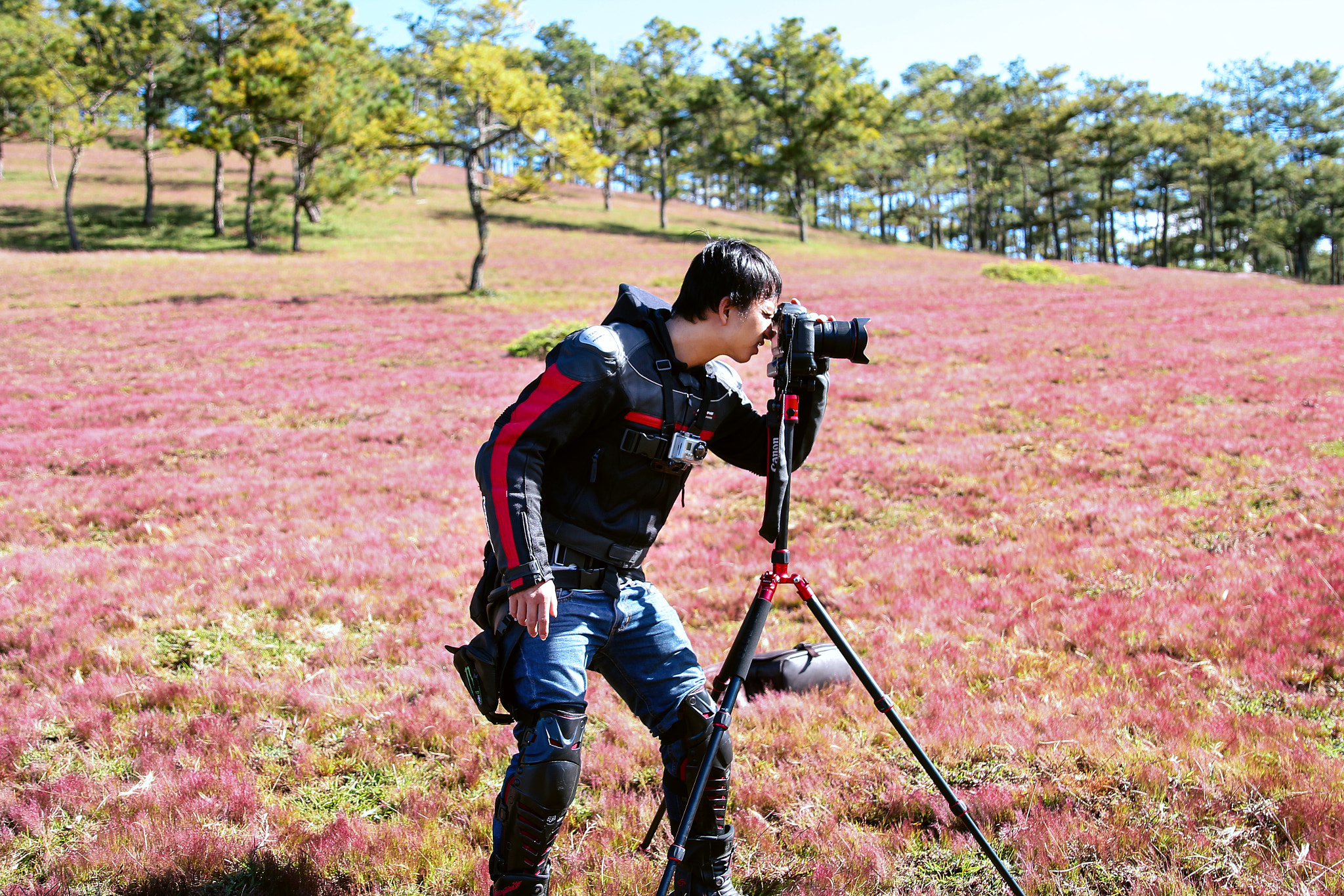 Canon EF 24-70mm F2.8L II USM sample photo. Đồi cỏ hồng đà lạt việt nam photography