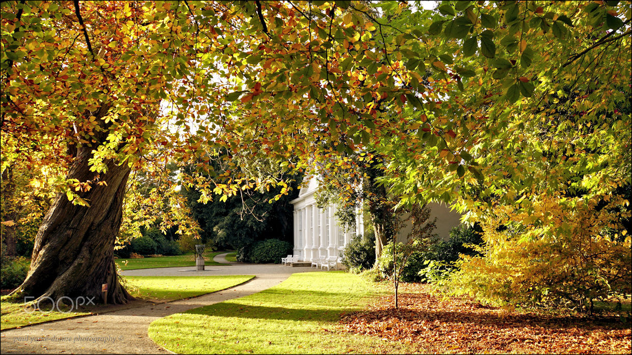Sony E 18-200mm F3.5-6.3 OSS LE sample photo. Saltram house, orangery photography