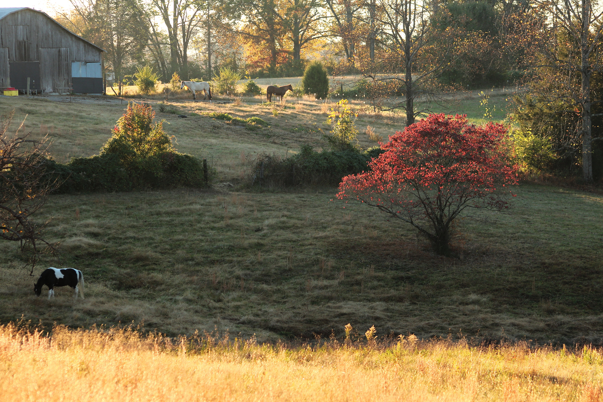 Canon EOS 1200D (EOS Rebel T5 / EOS Kiss X70 / EOS Hi) sample photo. Farmland photography