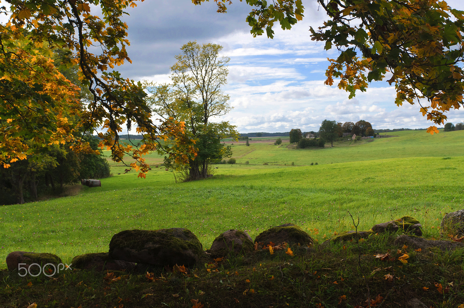 Nikon D5000 sample photo. Rural autumn landscape photography