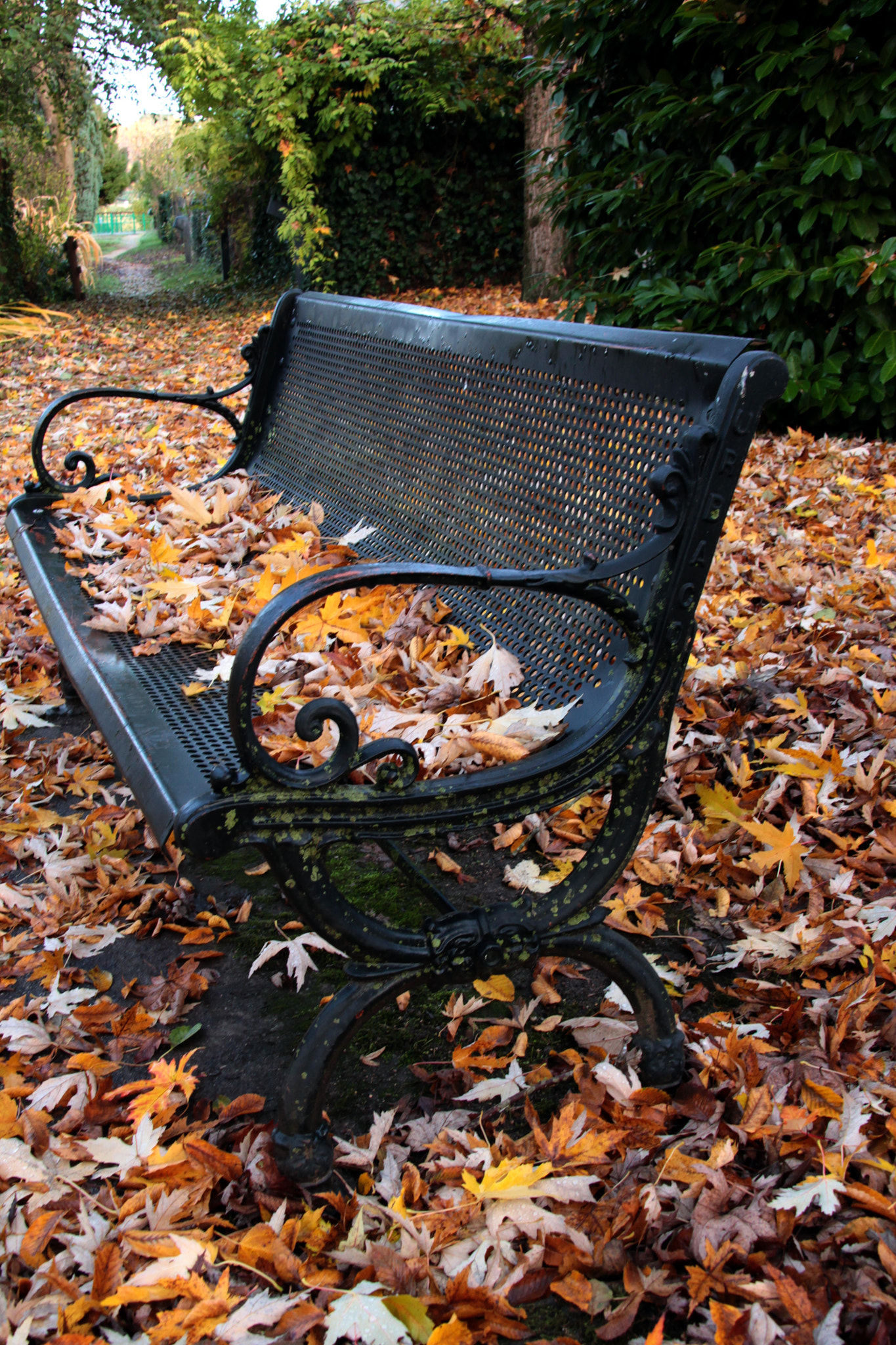 Canon EOS 1100D (EOS Rebel T3 / EOS Kiss X50) + Canon TS-E 90mm F2.8 Tilt-Shift sample photo. Full bench photography