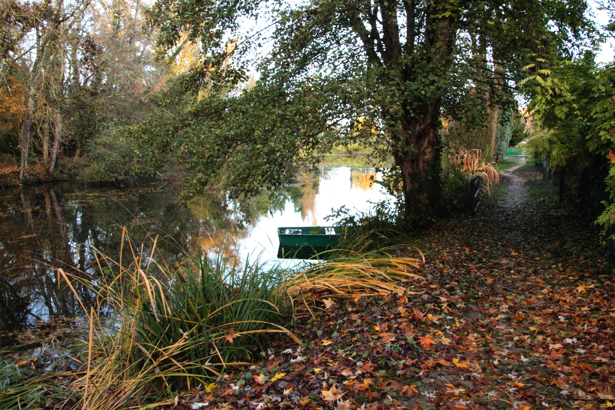 Canon EOS 1100D (EOS Rebel T3 / EOS Kiss X50) + Canon TS-E 90mm F2.8 Tilt-Shift sample photo. Autumn riverside photography
