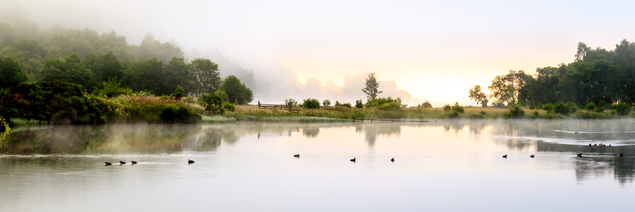 Canon EOS M3 sample photo. Morning swim! photography