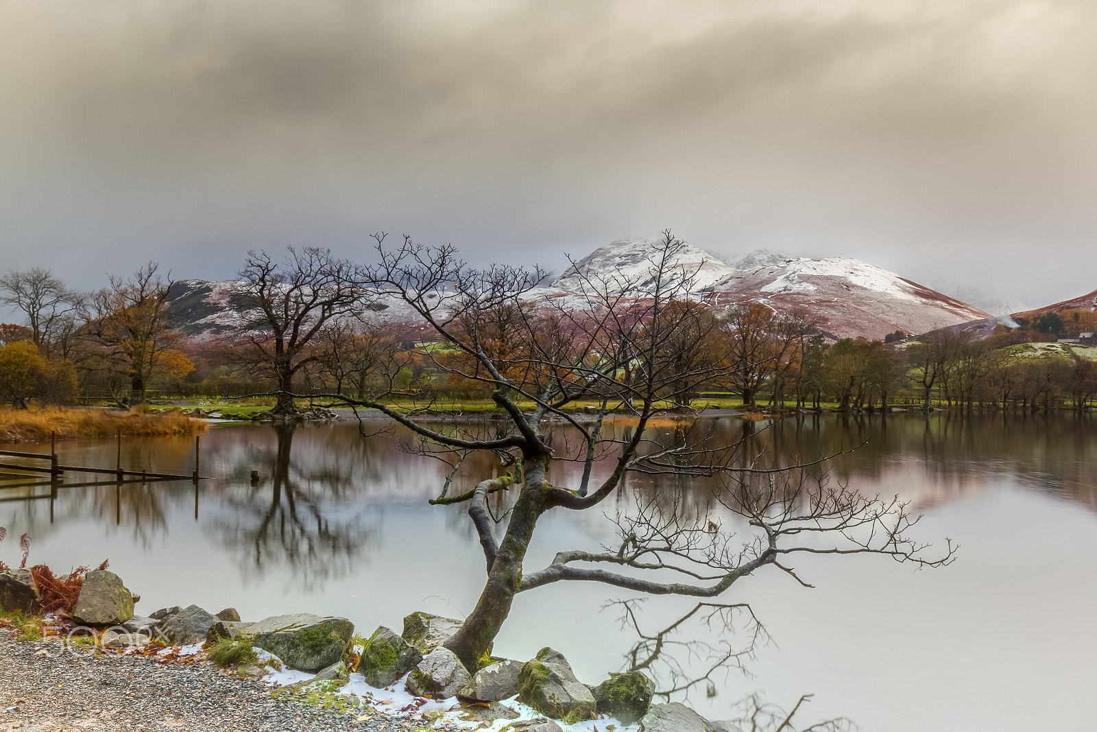 Canon EF 16-35mm F4L IS USM sample photo. Autumn and snow photography