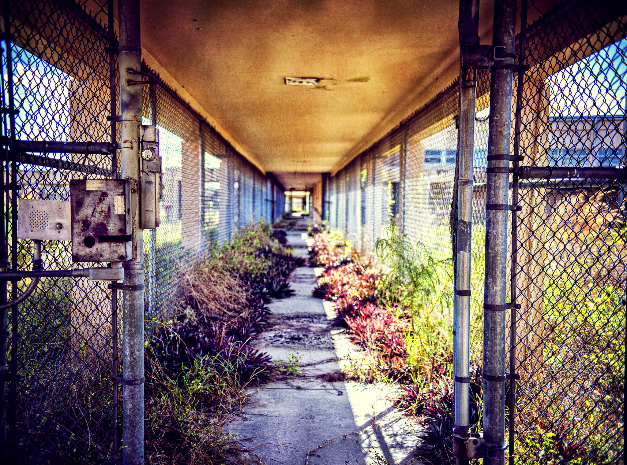 Nikon D800 sample photo. 602 photography