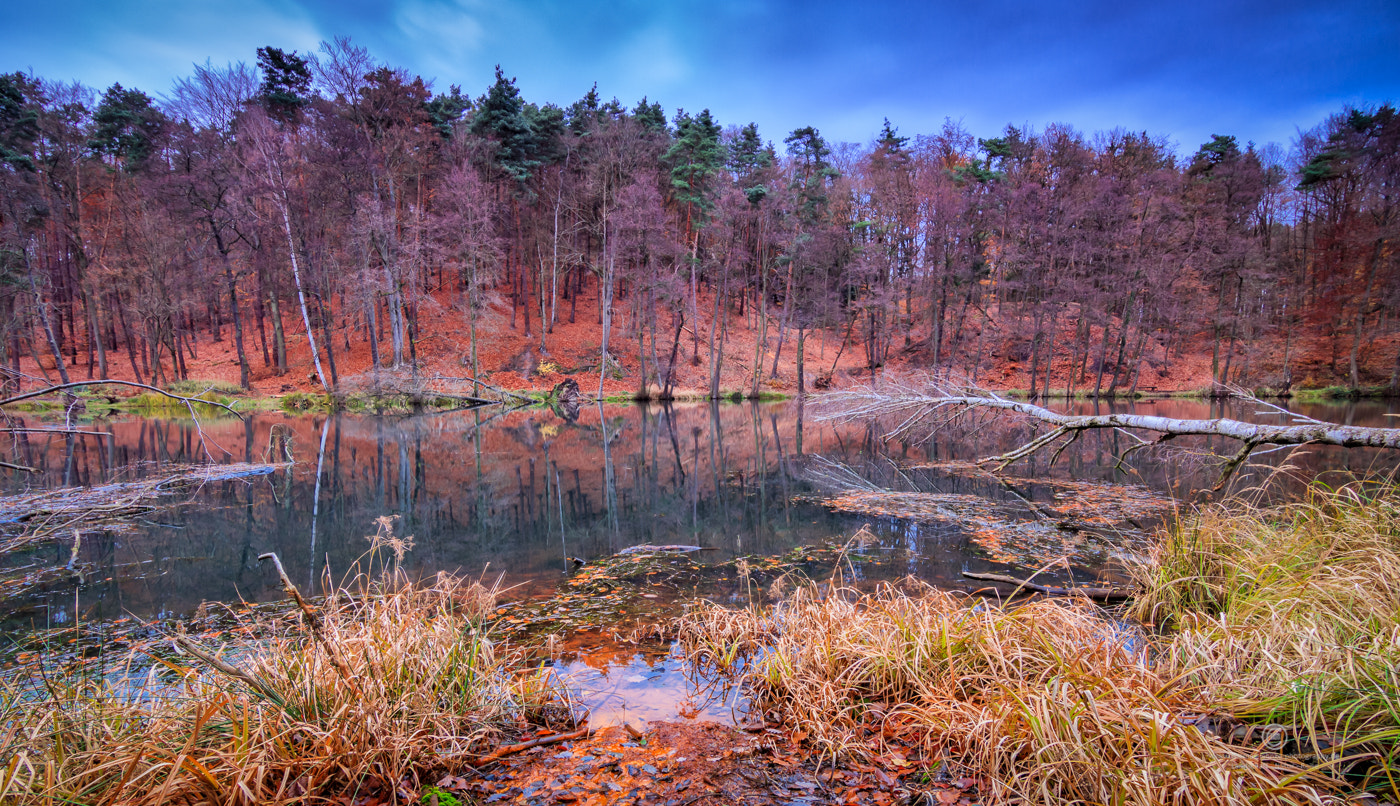 Canon EOS 760D (EOS Rebel T6s / EOS 8000D) sample photo. Teufelssee photography