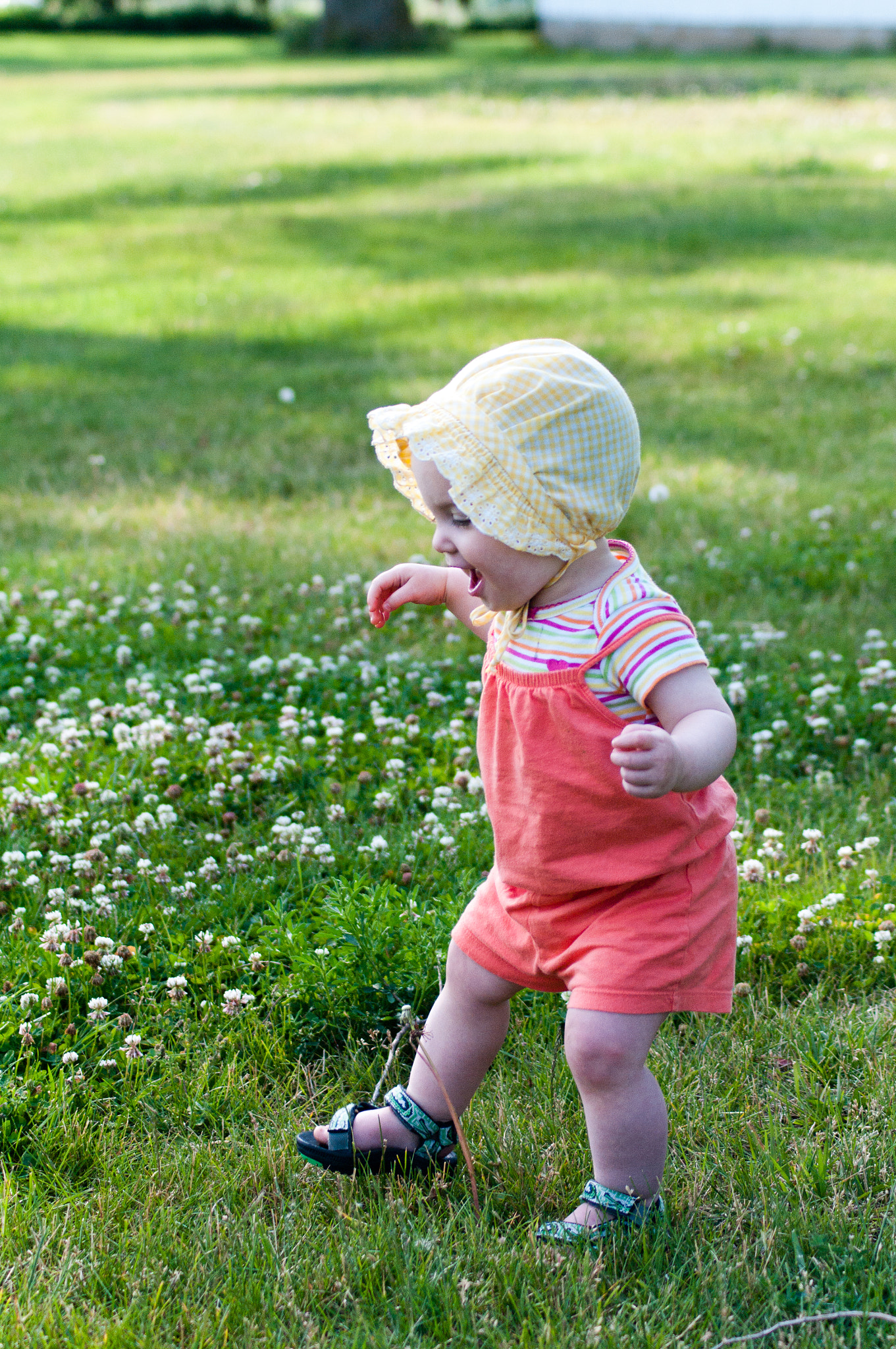 Tamron AF 70-300mm F4-5.6 Di LD Macro sample photo. Stomping the clovers photography