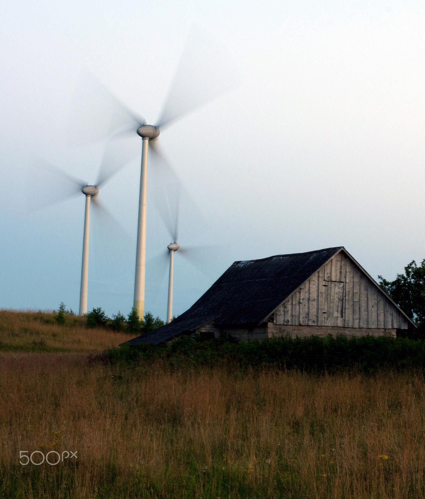 Nikon D90 + Sigma 50mm F1.4 EX DG HSM sample photo. Wind photography