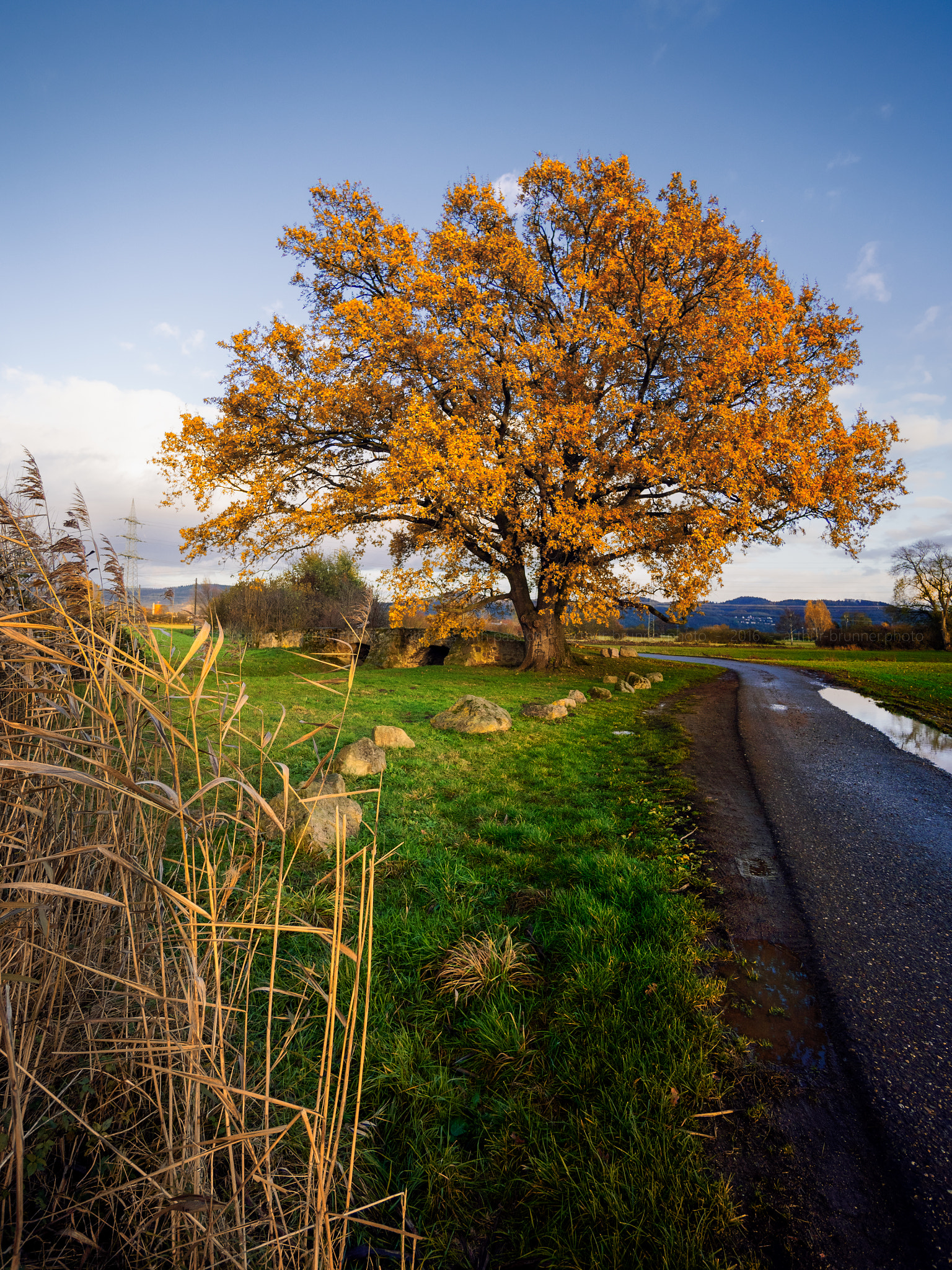 Olympus OM-D E-M1 + Panasonic Lumix G Vario 7-14mm F4 ASPH sample photo. Römerbrücke photography