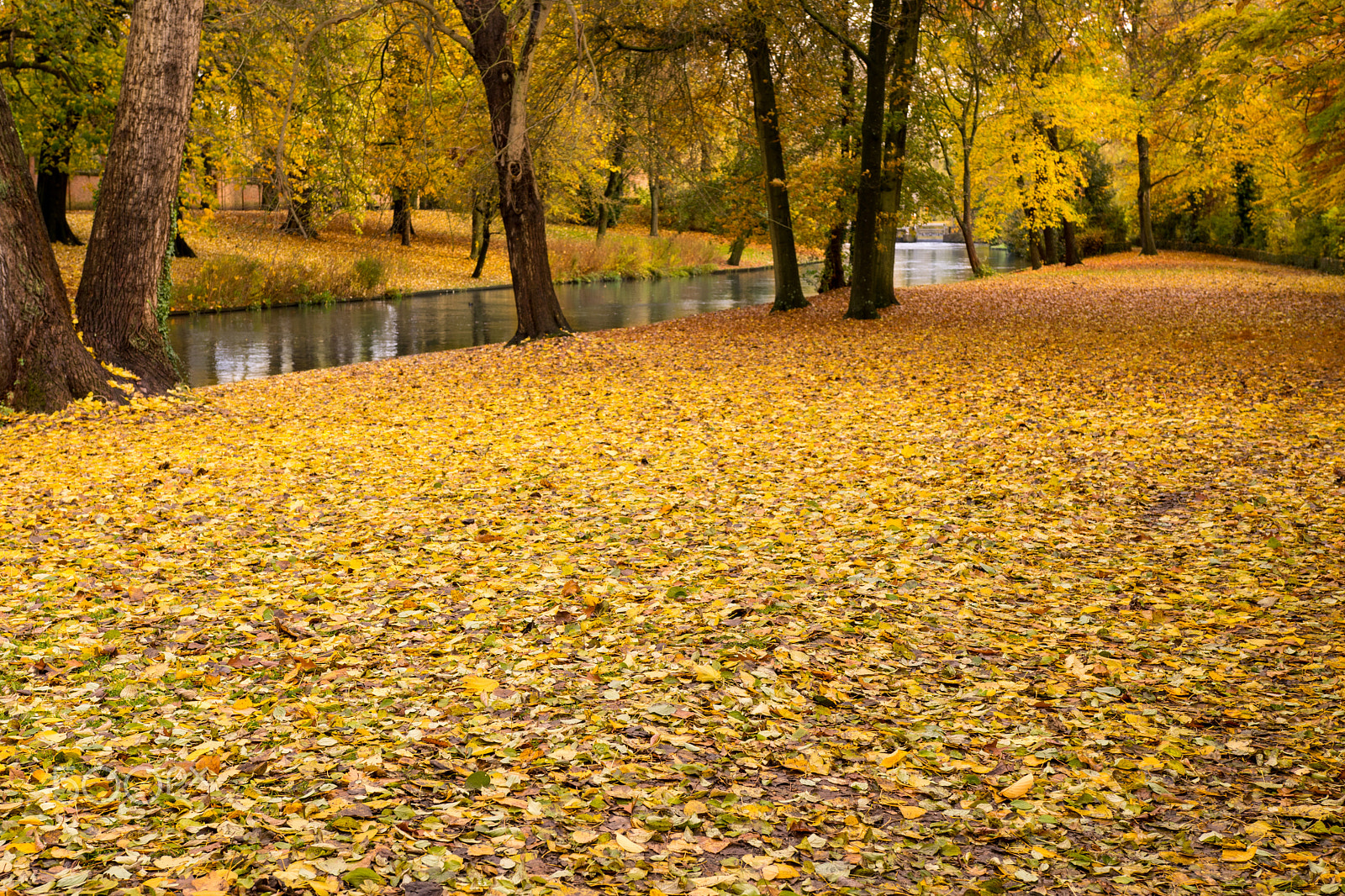 Nikon D3300 + Sigma 18-35mm F1.8 DC HSM Art sample photo. Minnewater park in bruges, belgium photography