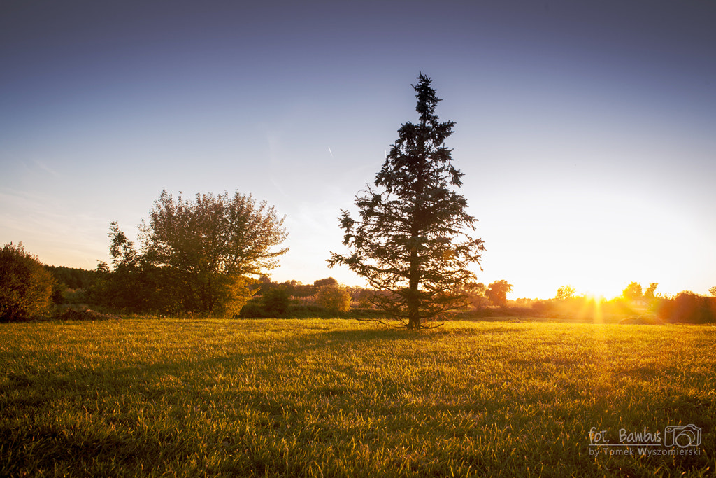 Canon EOS 5D + Canon EF 28mm F1.8 USM sample photo. Sunset photography