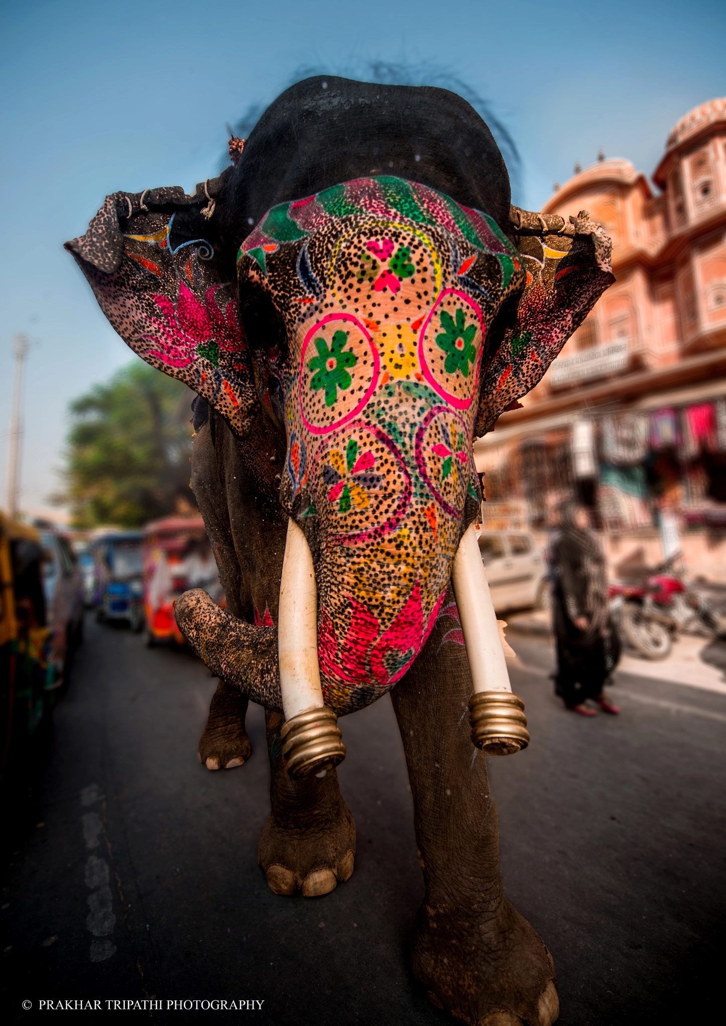 Nikon D4S sample photo. A colourful ride photography