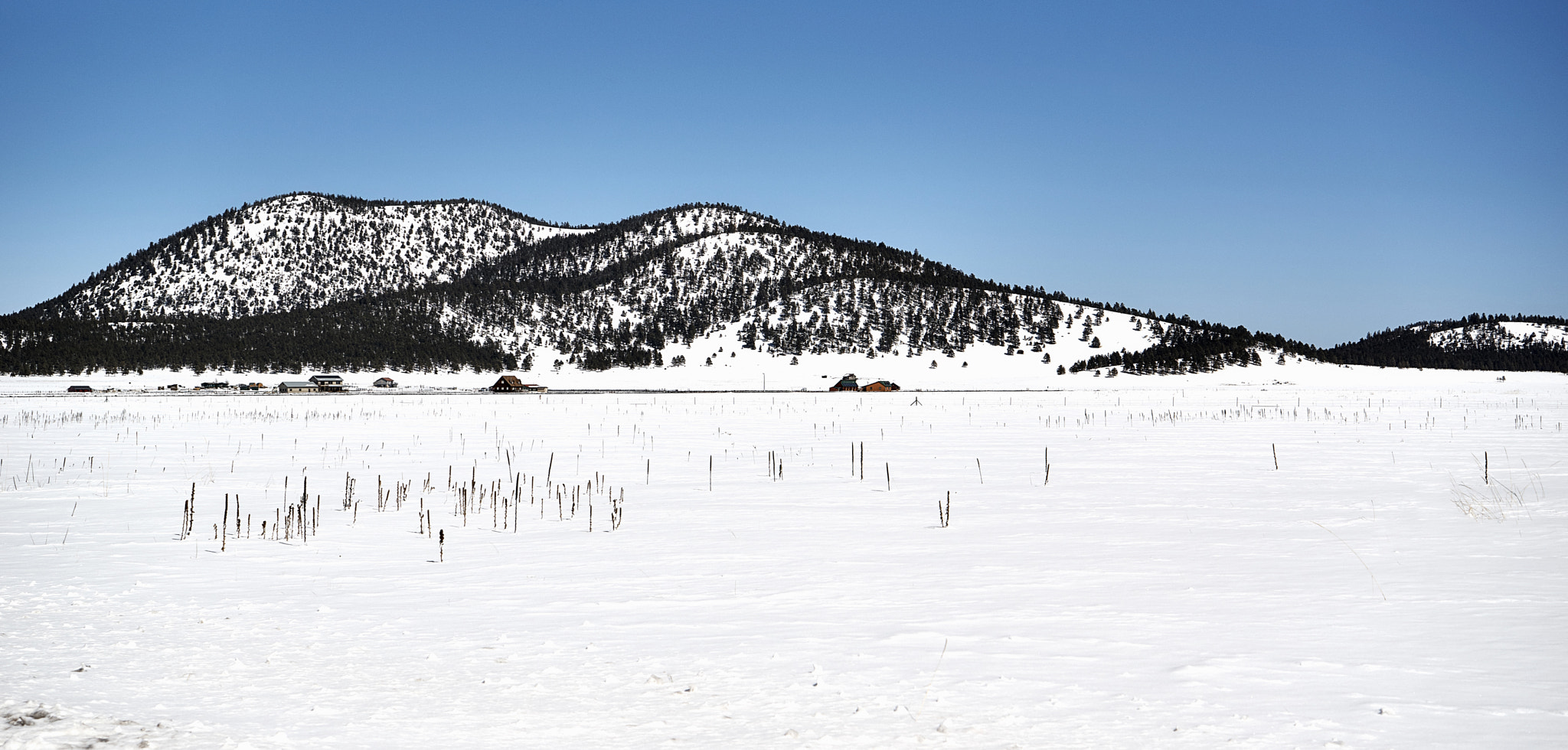 Sony a7R sample photo. White photography