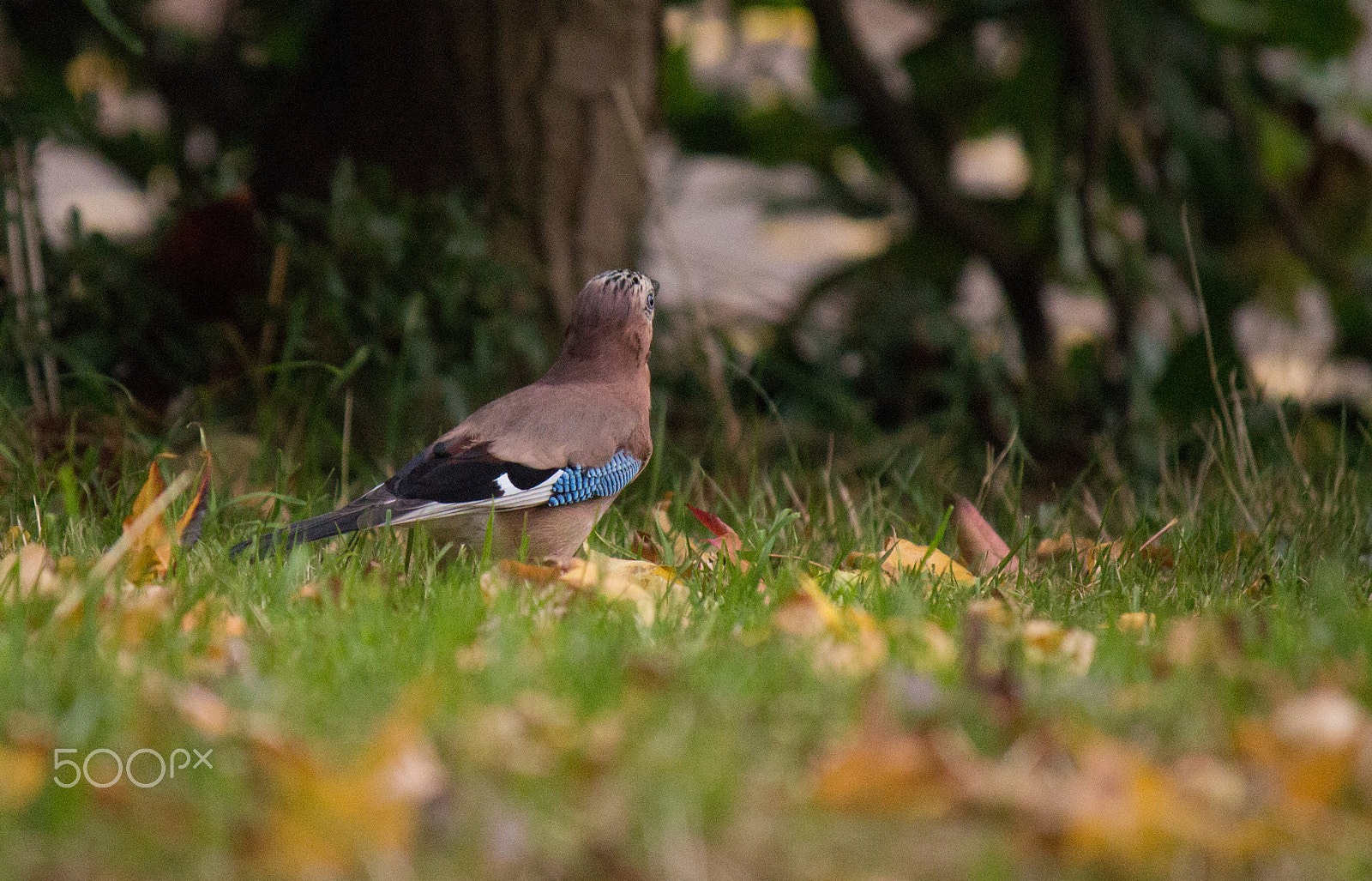 Canon EOS 650D (EOS Rebel T4i / EOS Kiss X6i) sample photo. Next branch photography