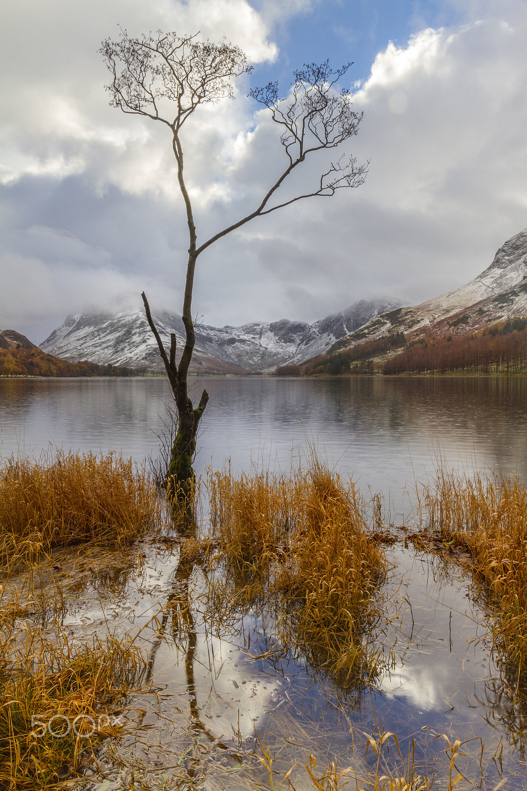 Canon EF 16-35mm F4L IS USM sample photo. Not the lone tree  again photography