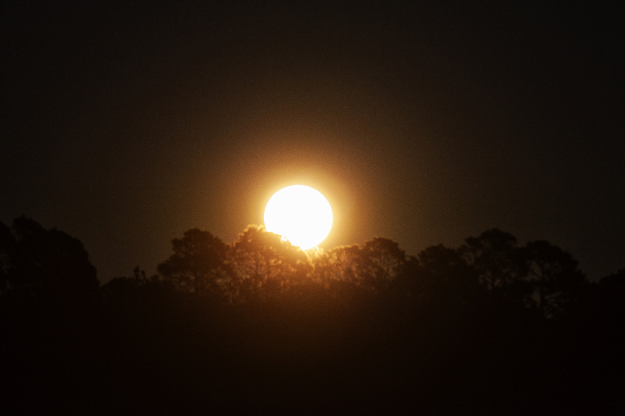 Canon EOS 5D Mark II + Canon EF 70-200mm F2.8L IS II USM sample photo. Moonrise photography