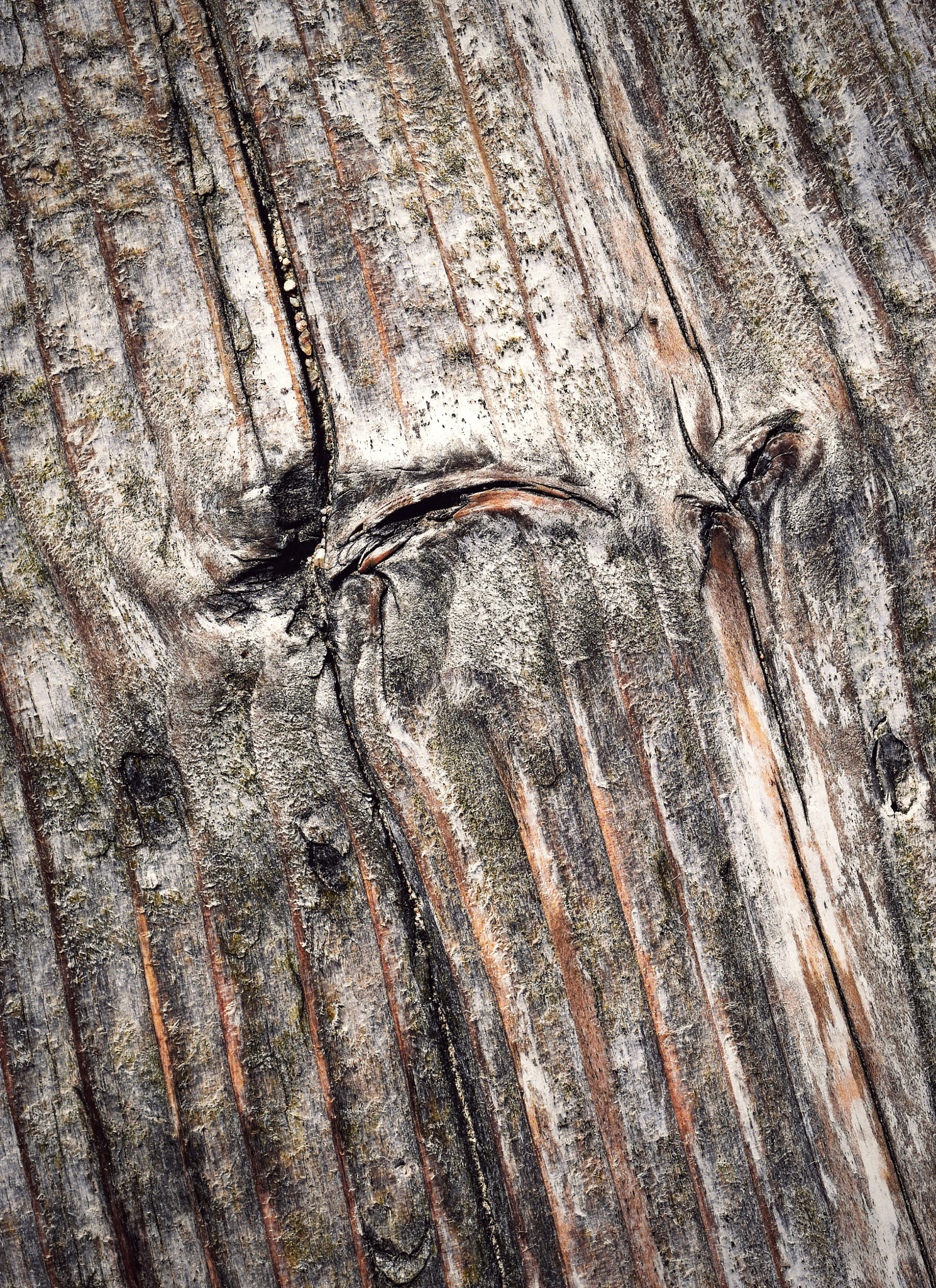 Nikon D5500 + Tamron SP 90mm F2.8 Di VC USD 1:1 Macro (F004) sample photo. Shapes and lines on an old wooden board photography