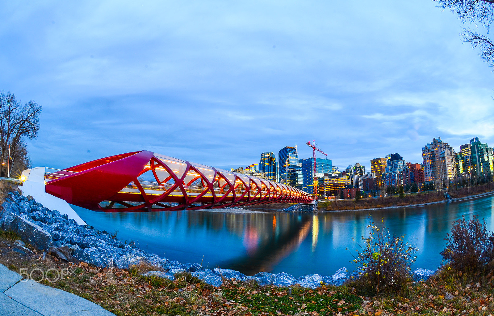 Nikon AF DX Fisheye-Nikkor 10.5mm F2.8G ED sample photo. Peace bridge photography