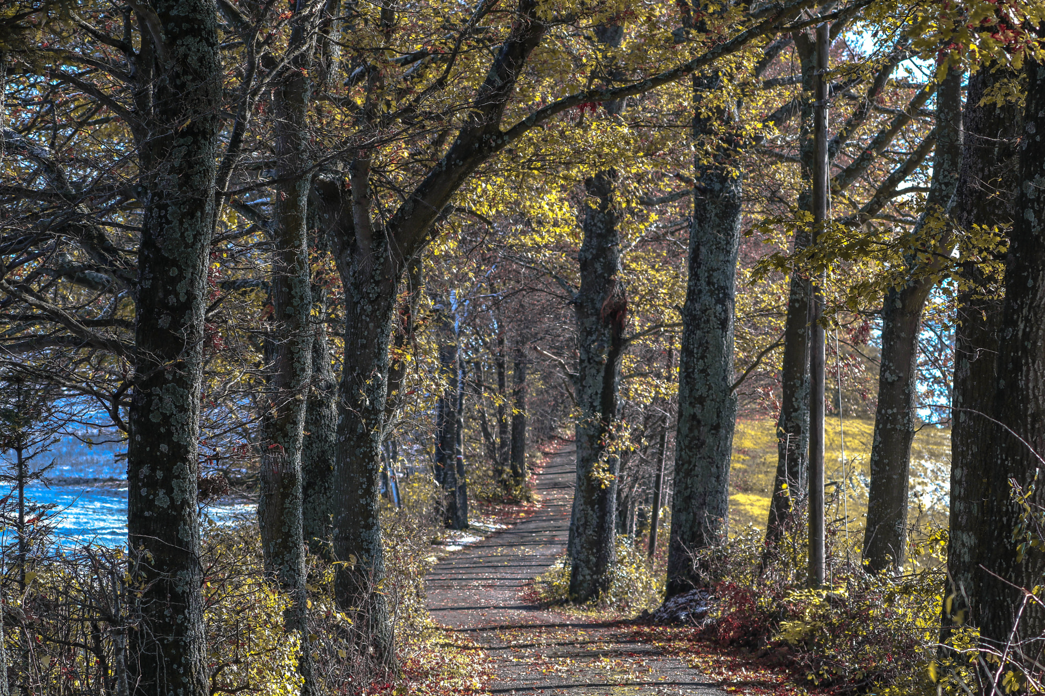 Canon EF 70-300mm F4-5.6L IS USM sample photo. "a long way" photography