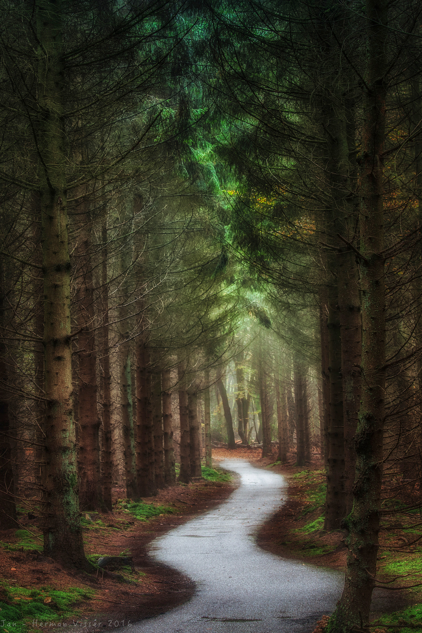 Canon EF 50-200mm f/3.5-4.5 sample photo. Fairy tale road ... photography