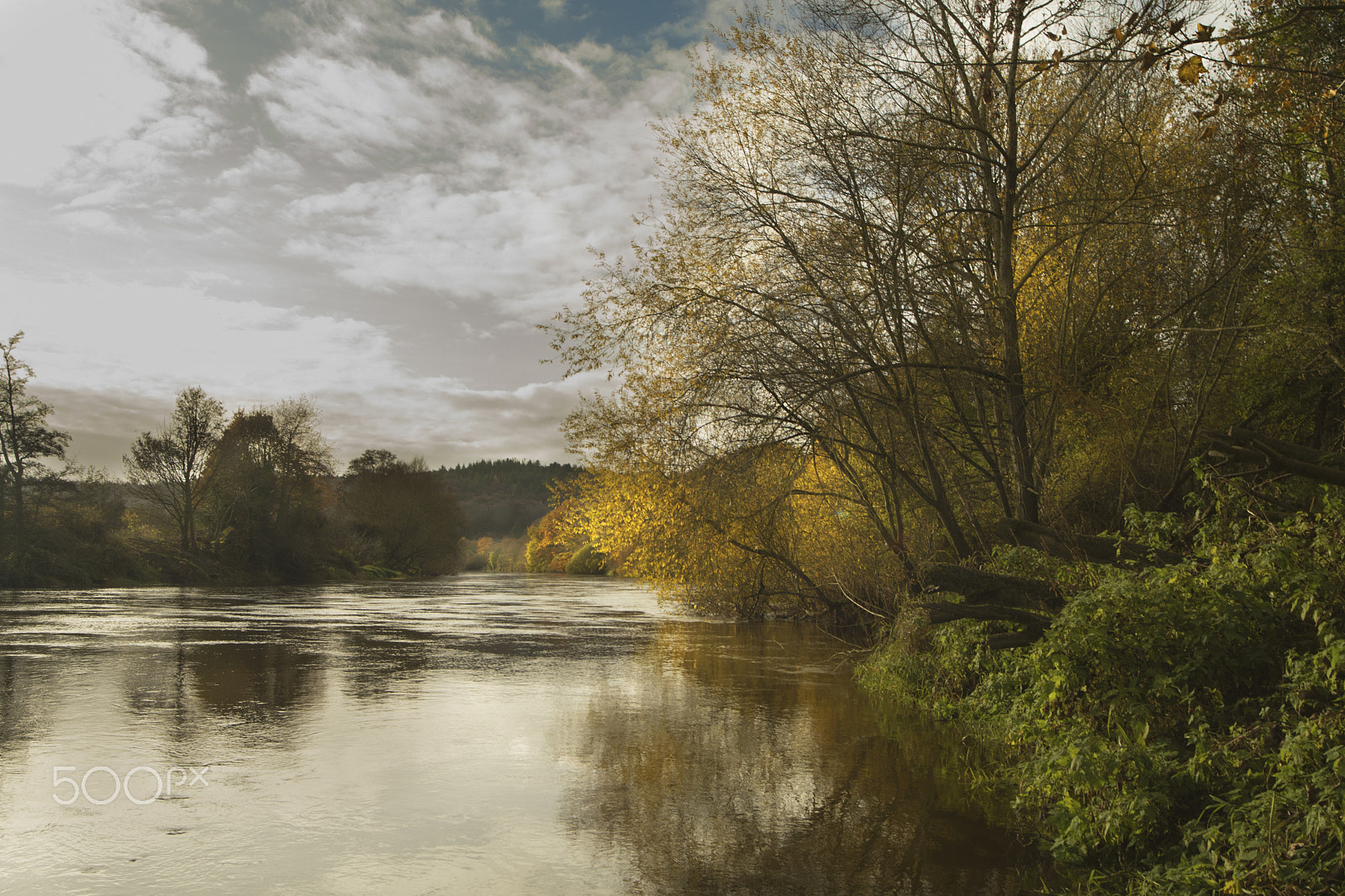 Nikon D500 sample photo. Flowing autumn photography