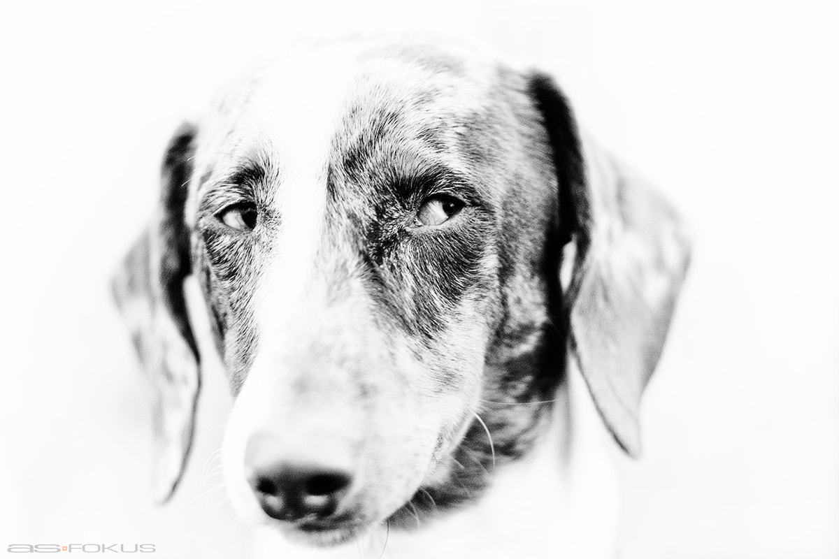 Canon EF 85mm F1.8 USM sample photo. The sceptic  photography