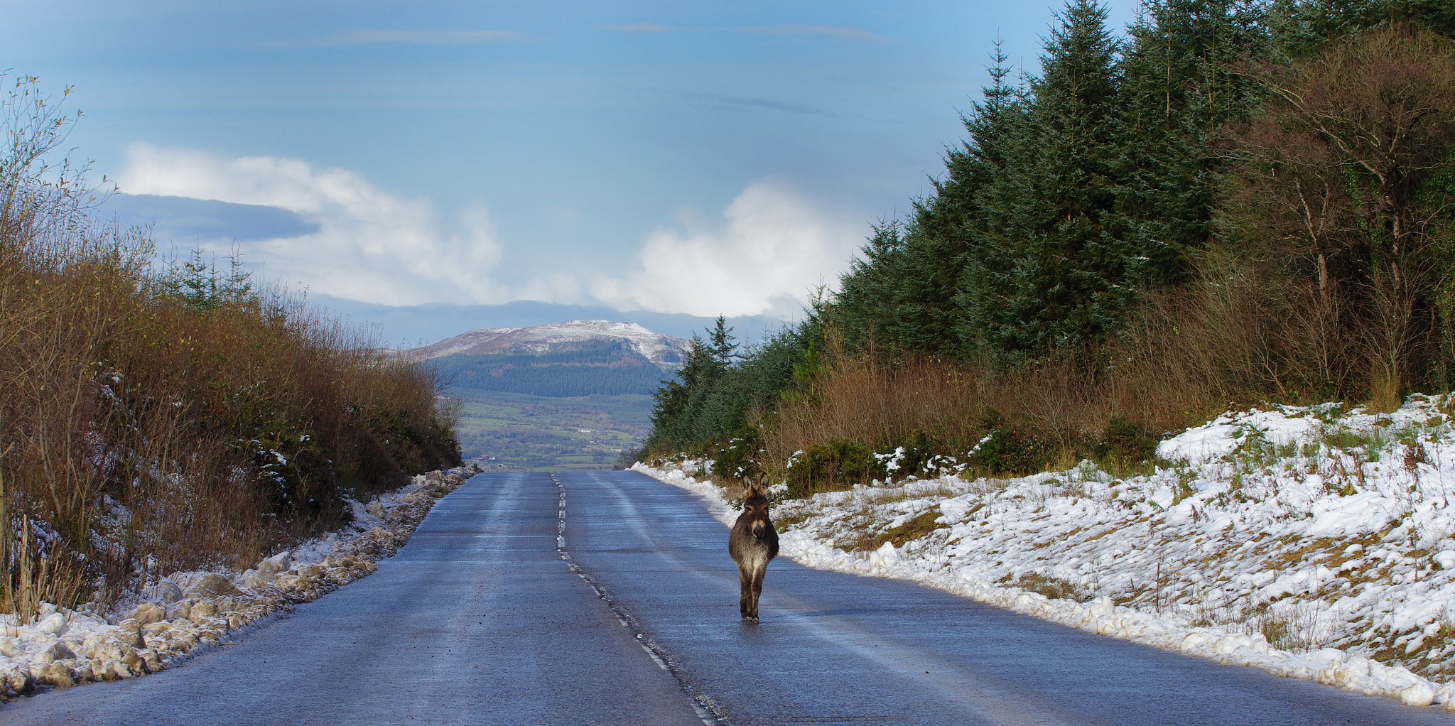 Pentax K-5 sample photo. Long walk to bethlehem photography