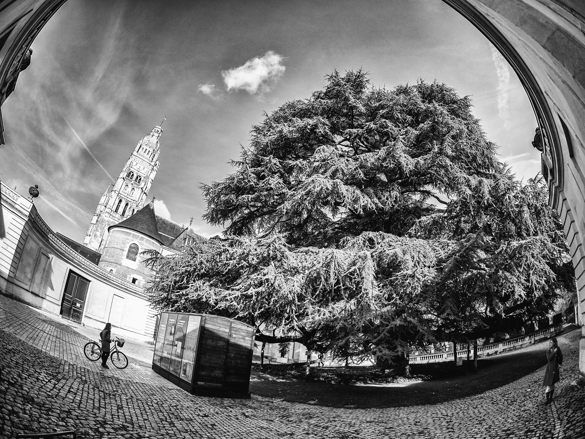 Olympus PEN-F sample photo. Cathedral, musée and a cedar of 200 years in tours photography