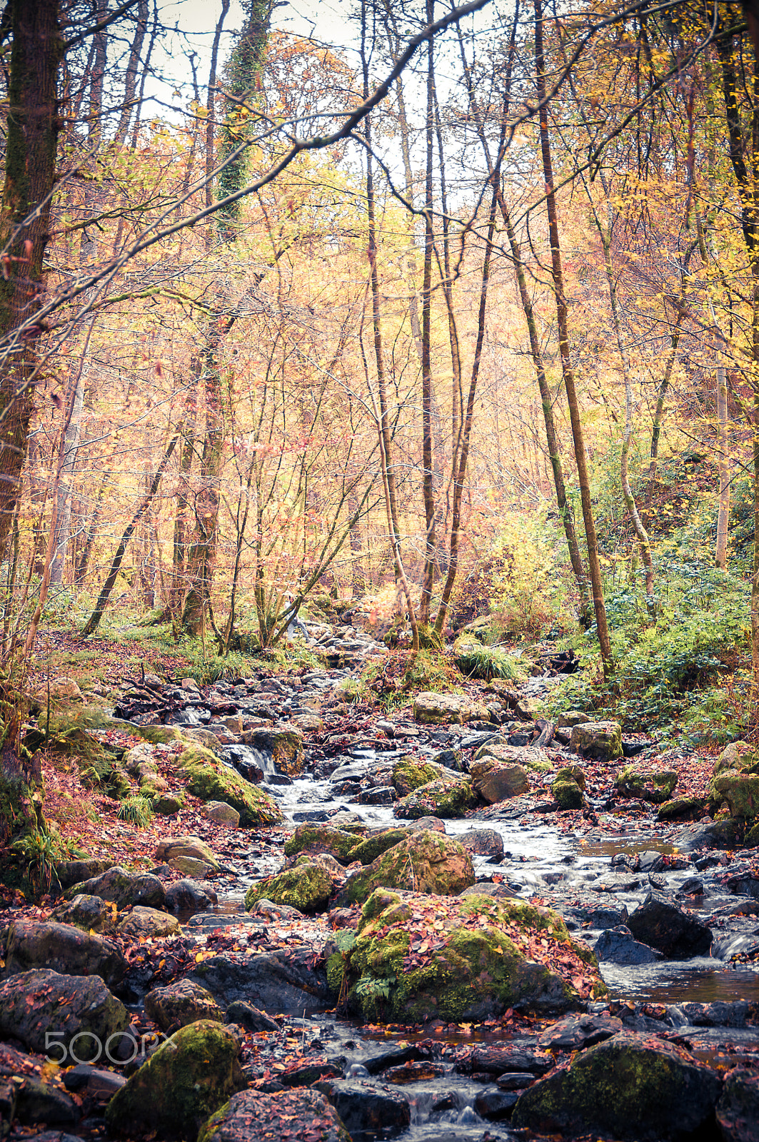 Pentax K-x sample photo. Autumn photography