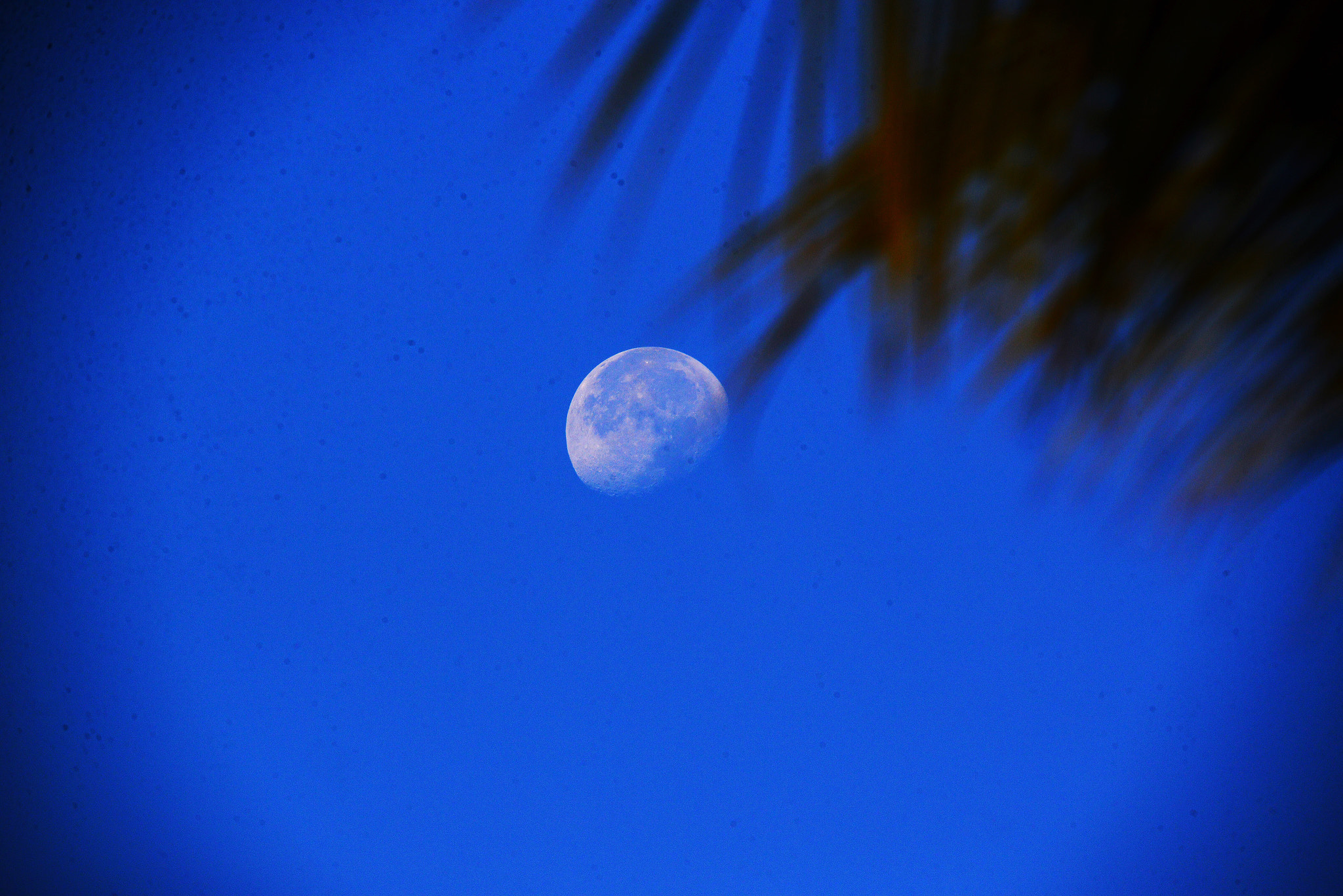 Nikon D600 sample photo. After the supermoon photography