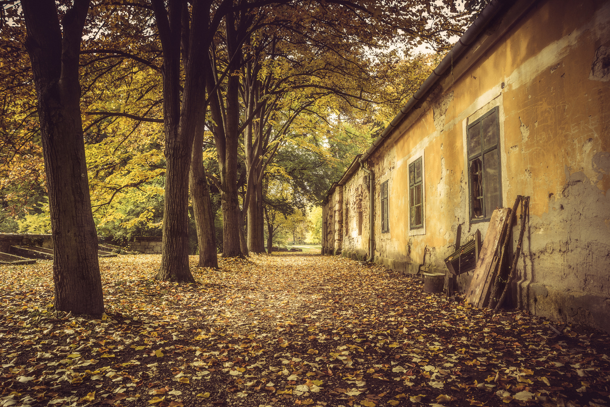 Sigma 24-70mm F2.8 EX DG Macro sample photo. Path by the rusty little house photography