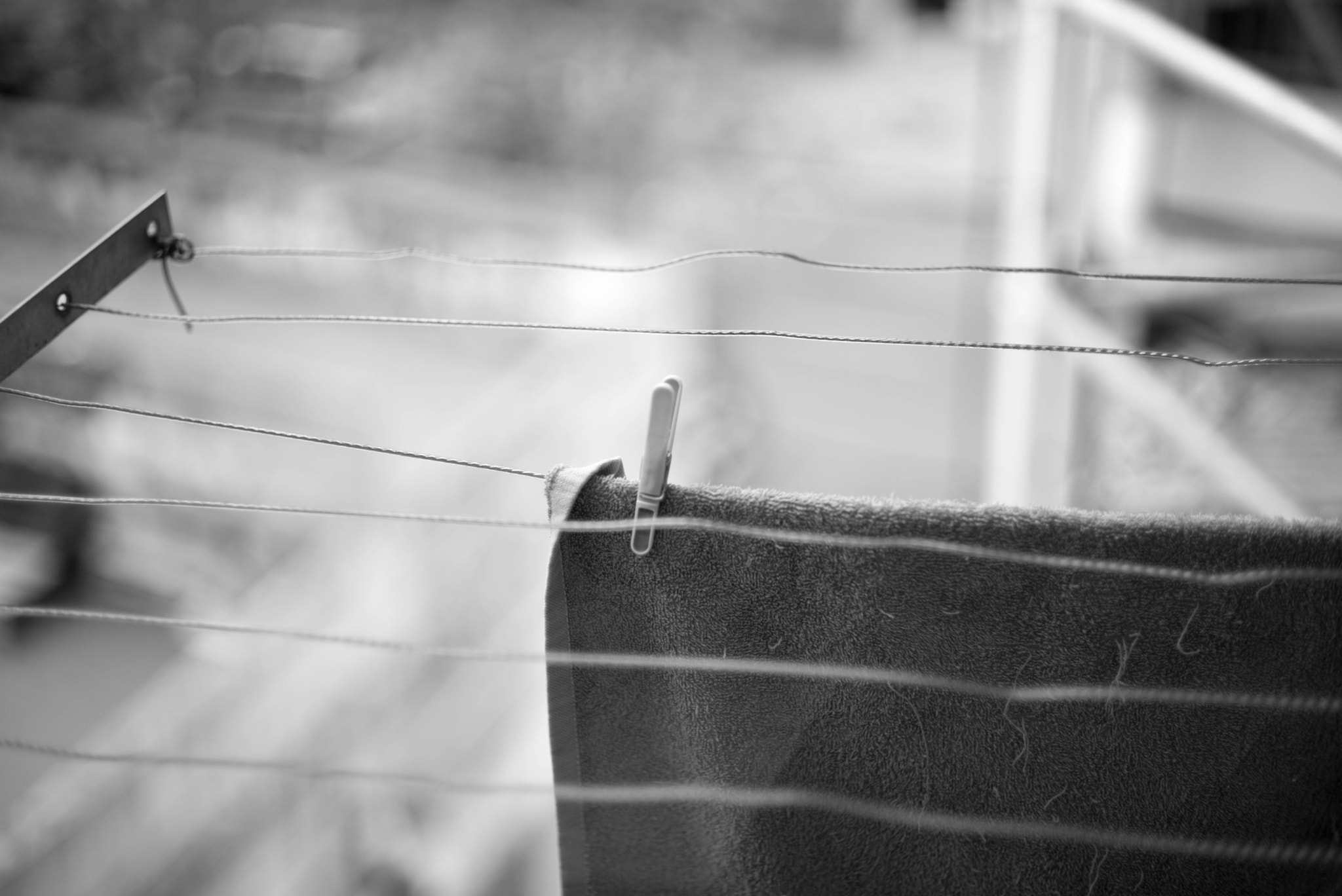 Summilux-M 1:1.4/50 sample photo. 30657001220.jpg photography
