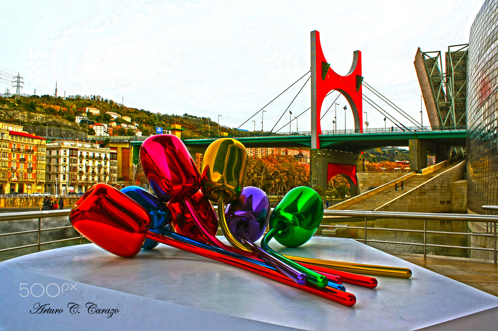 Canon EOS 1000D (EOS Digital Rebel XS / EOS Kiss F) sample photo. Tulipanes de jeff koons photography