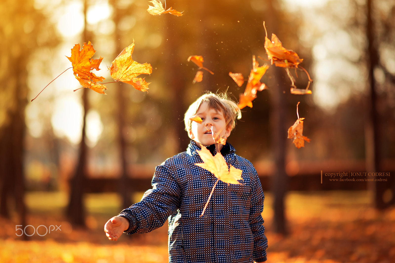 Nikon D610 + Sigma 85mm F1.4 EX DG HSM sample photo. Fall is here photography