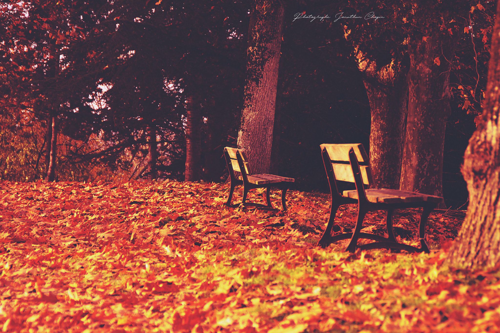 Canon EOS 50D sample photo. Landes photography