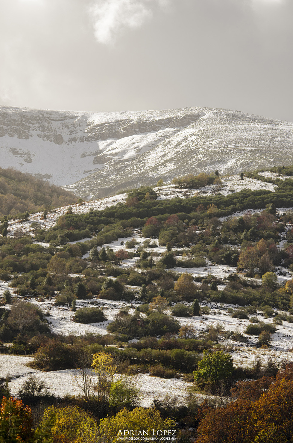 Sigma 150-500mm F5-6.3 DG OS HSM sample photo. Cantabria photography