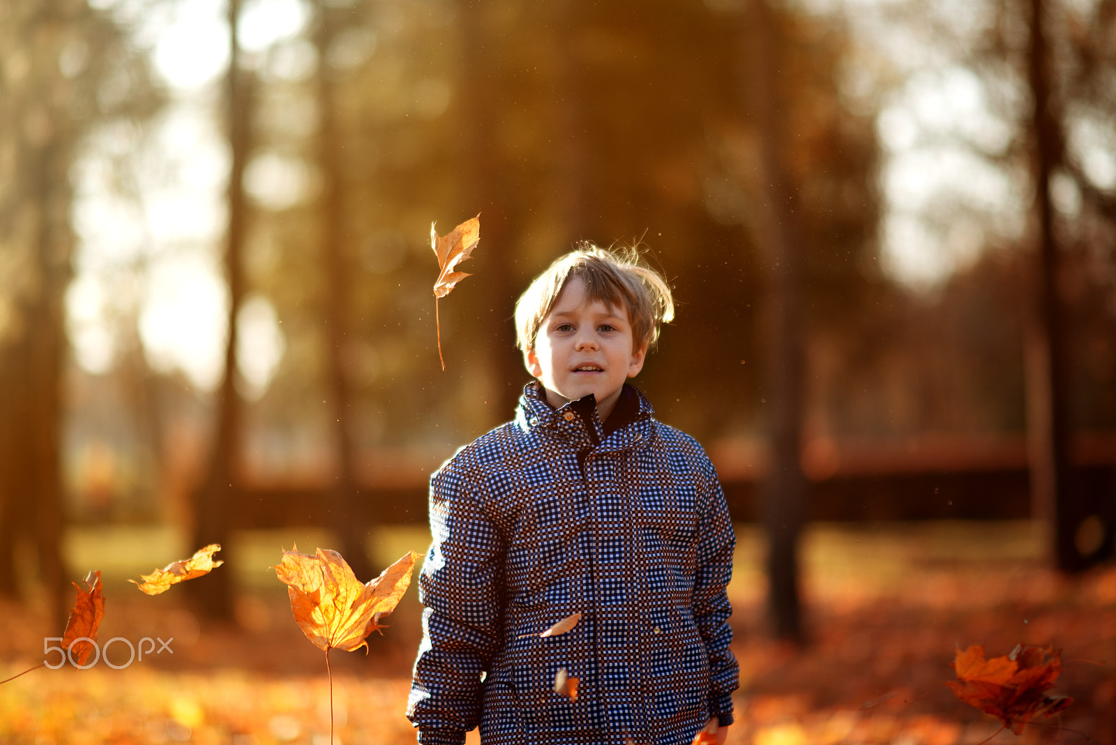 Nikon D610 + Sigma 85mm F1.4 EX DG HSM sample photo. Fall is here photography