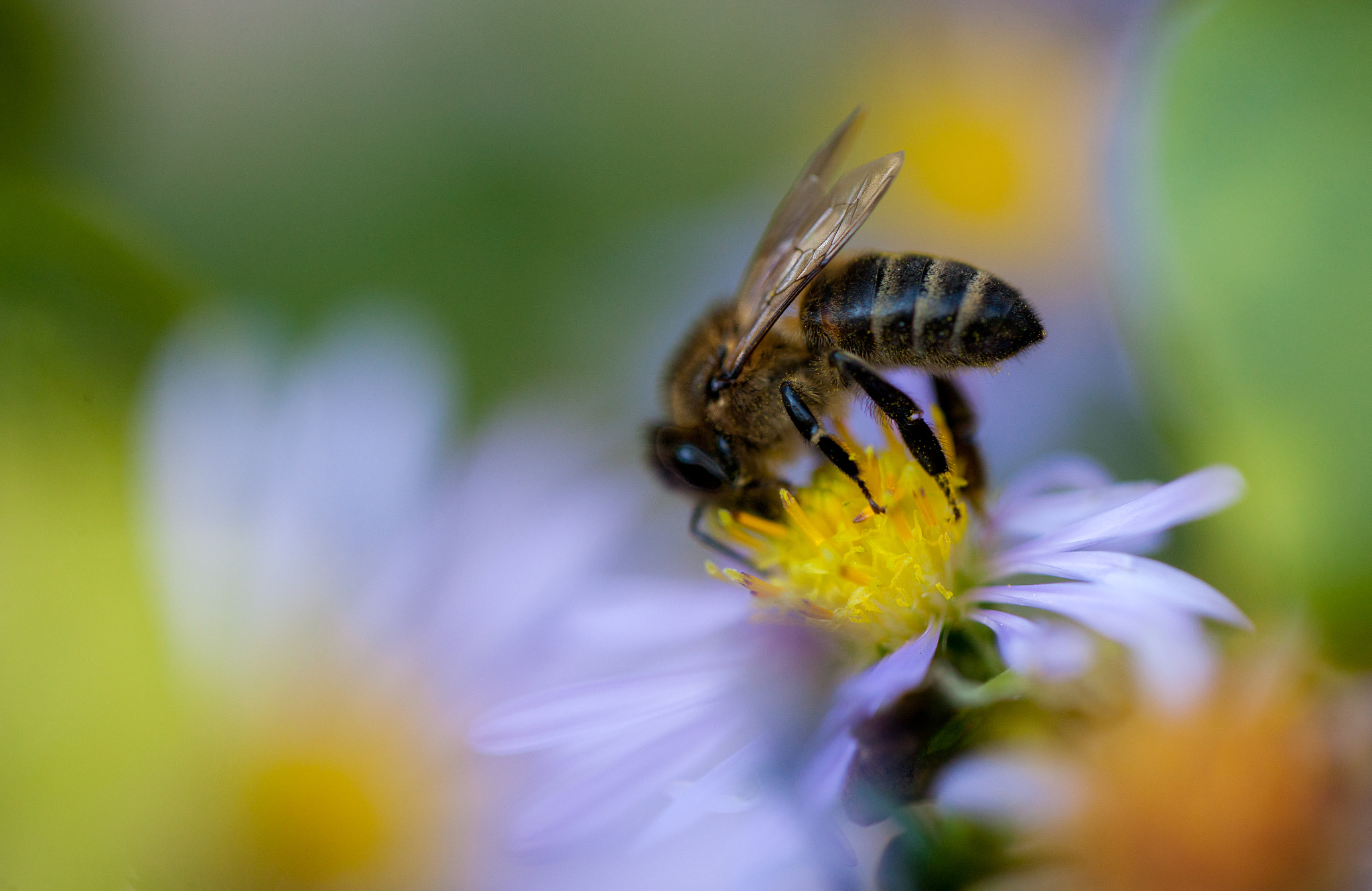 Canon EOS-1Ds Mark III sample photo. O photography