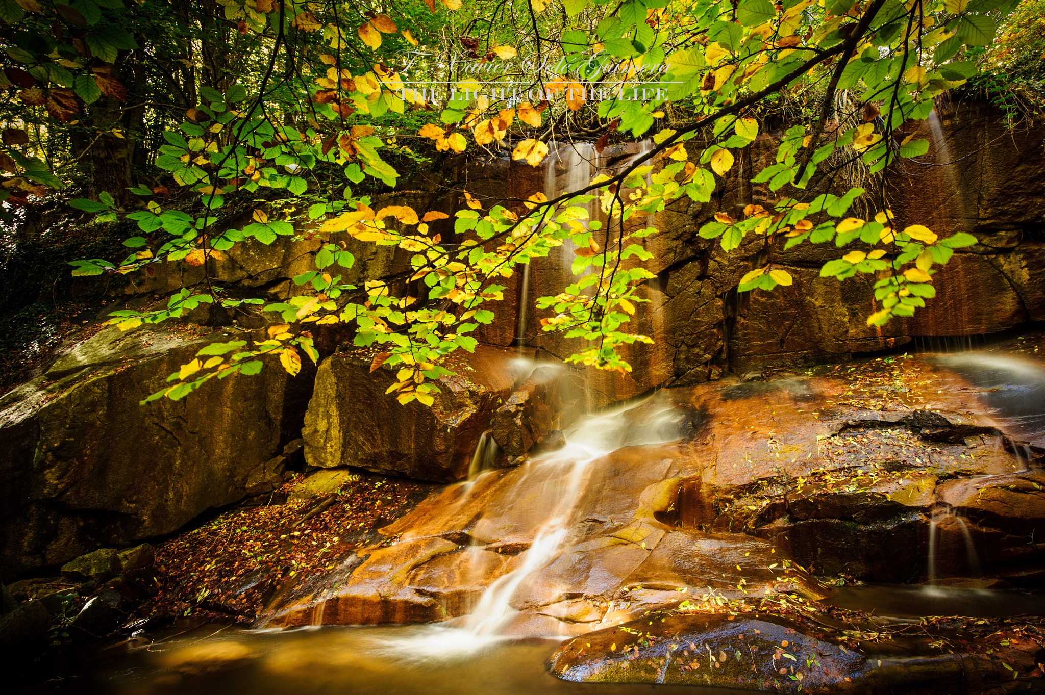 Nikon D3S sample photo. Autumn 5 photography