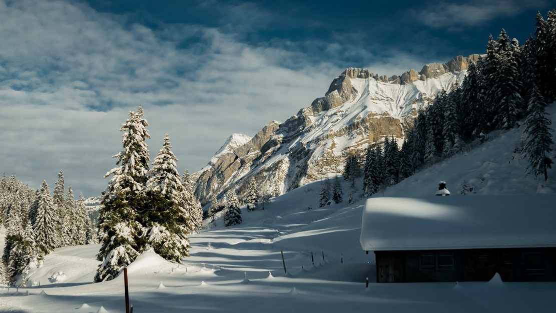 AF Zoom-Nikkor 35-105mm f/3.5-4.5 sample photo. Snow photography