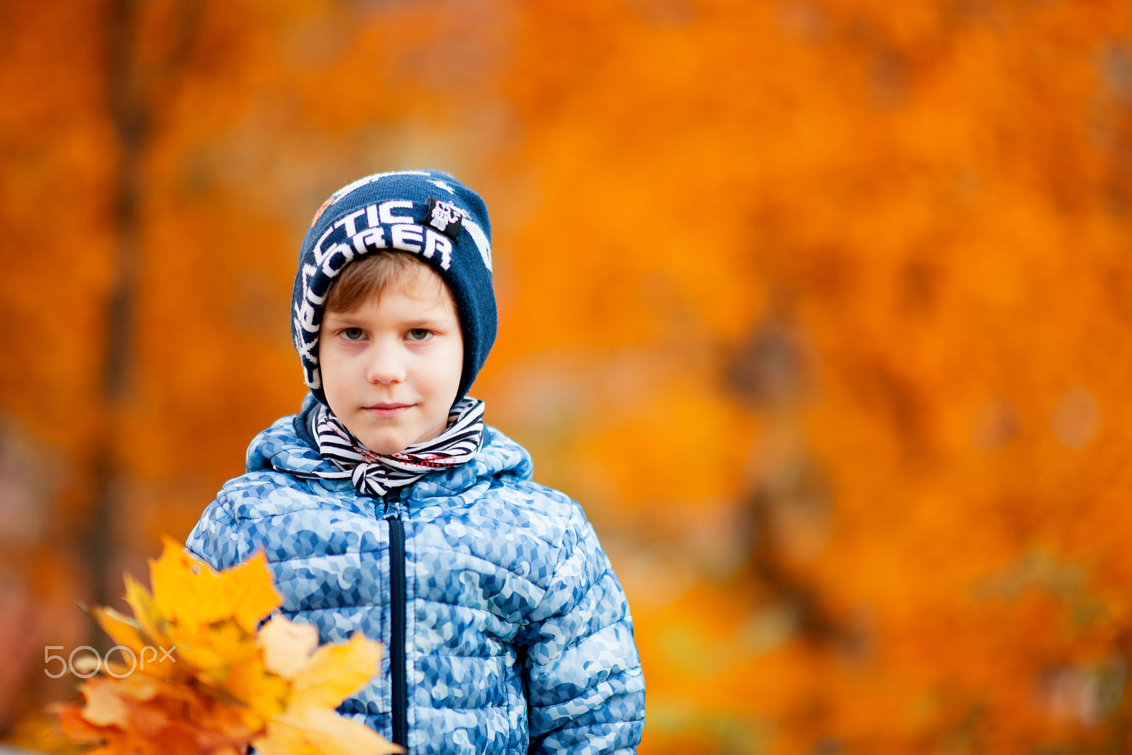 Nikon D610 + Sigma 85mm F1.4 EX DG HSM sample photo. Fall is here photography