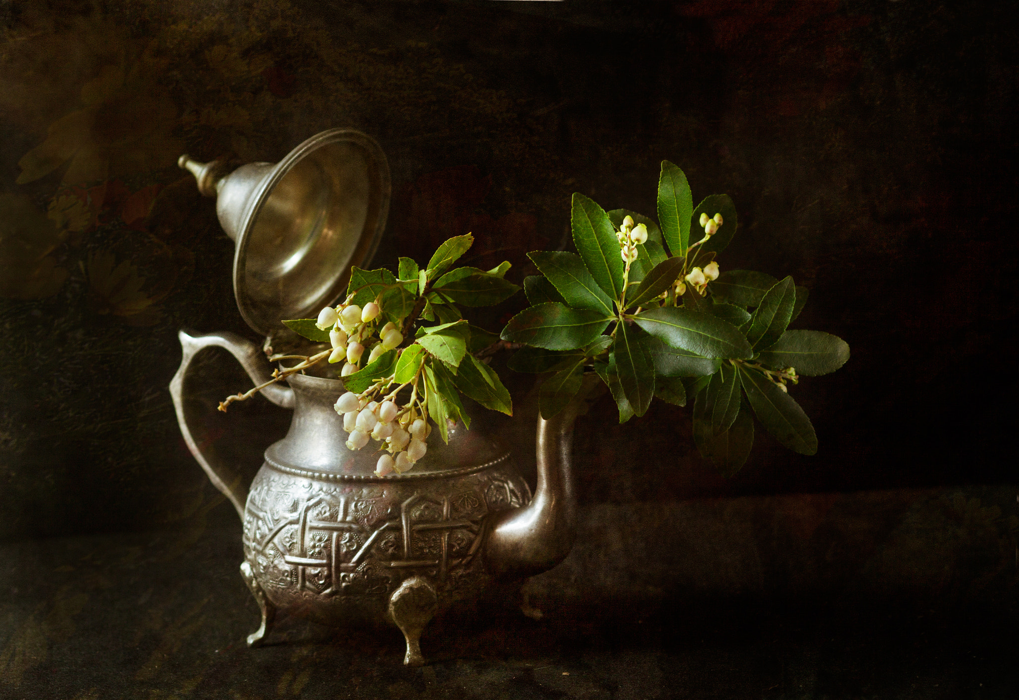 Canon EF 35-80mm f/4-5.6 sample photo. Madroños photography