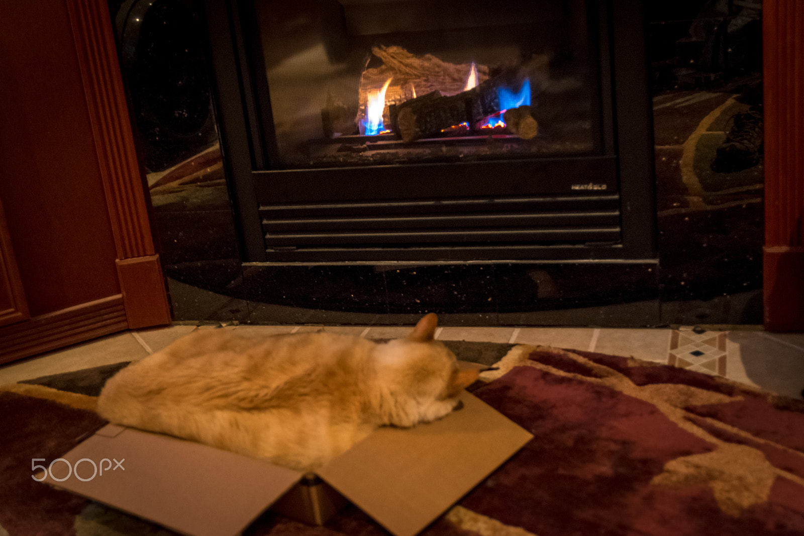 Nikon D5500 sample photo. Rusty by the fire photography