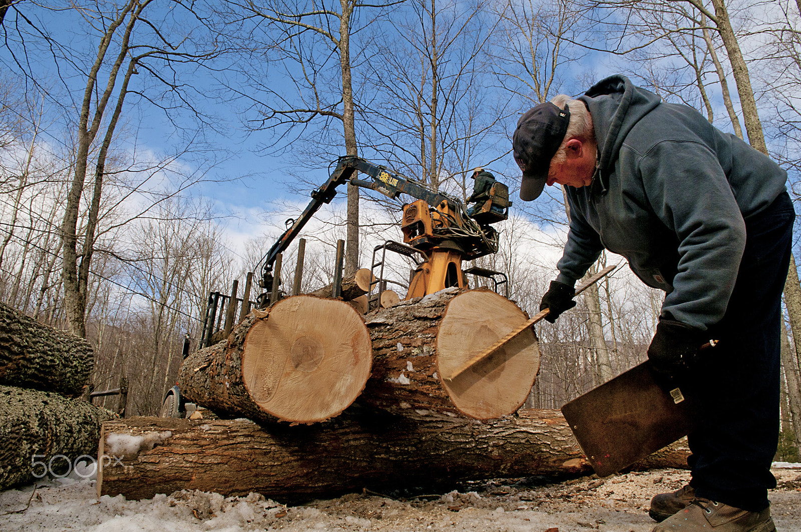 Nikon D300 sample photo. Timber broker photography