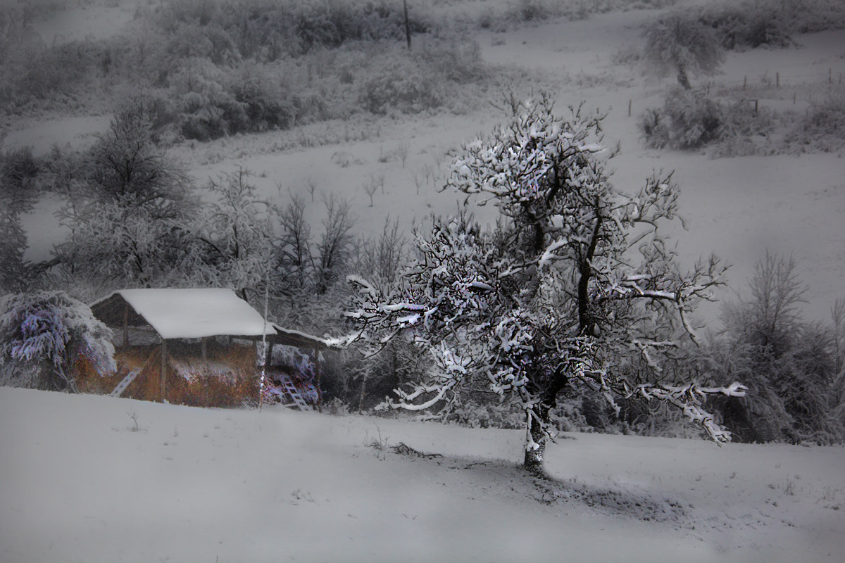 Canon EF-S 55-250mm F4-5.6 IS STM sample photo. Winter stories (5) photography