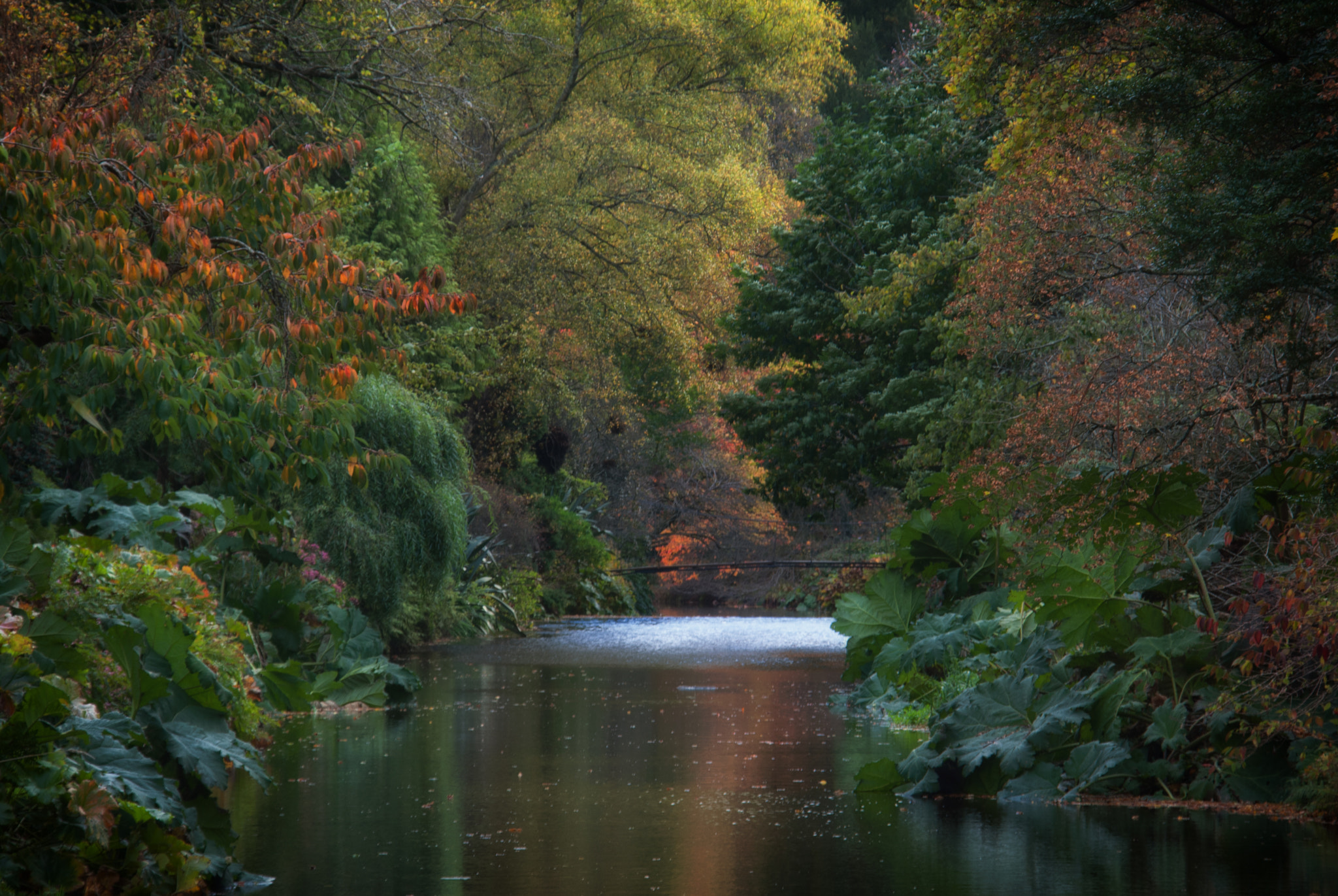 Sigma 18-200mm F3.5-6.3 DC OS HSM sample photo. Autumn photography